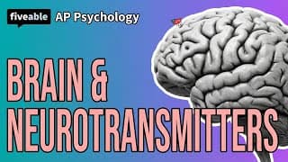 AP Psychology - Unit 2 Q&A: Brain & Neurotransmitters