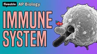 AP Biology - Immune System: Innate & Adaptive Immunity