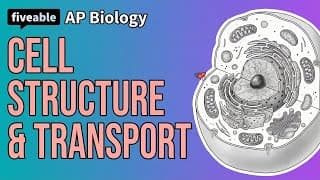 AP Biology - Unit 2 Review: Cell Structure & Transport
