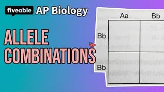 AP Biology - Punnett Squares & Allele Combinations