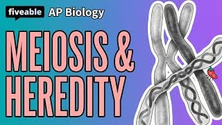 AP Biology - Meiosis & Intro to Heredity