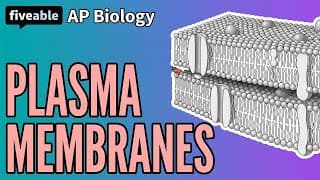 AP Biology - Plasma Membranes & Fluid Mosaic Model