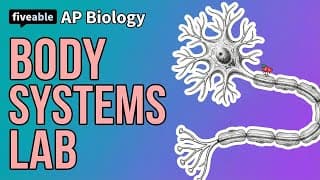 AP Biology - Body Systems Lab Review: Units 5-7