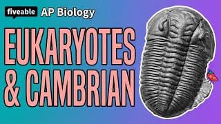 AP Biology - Unit 7: Endosymbiosis & Cambrian Explosion