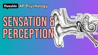 AP Psychology - Q&A: Unit 3 Sensation & Perception