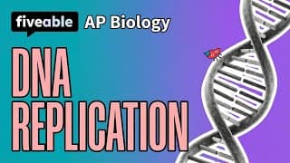 AP Biology - DNA Replication & Gene Expression