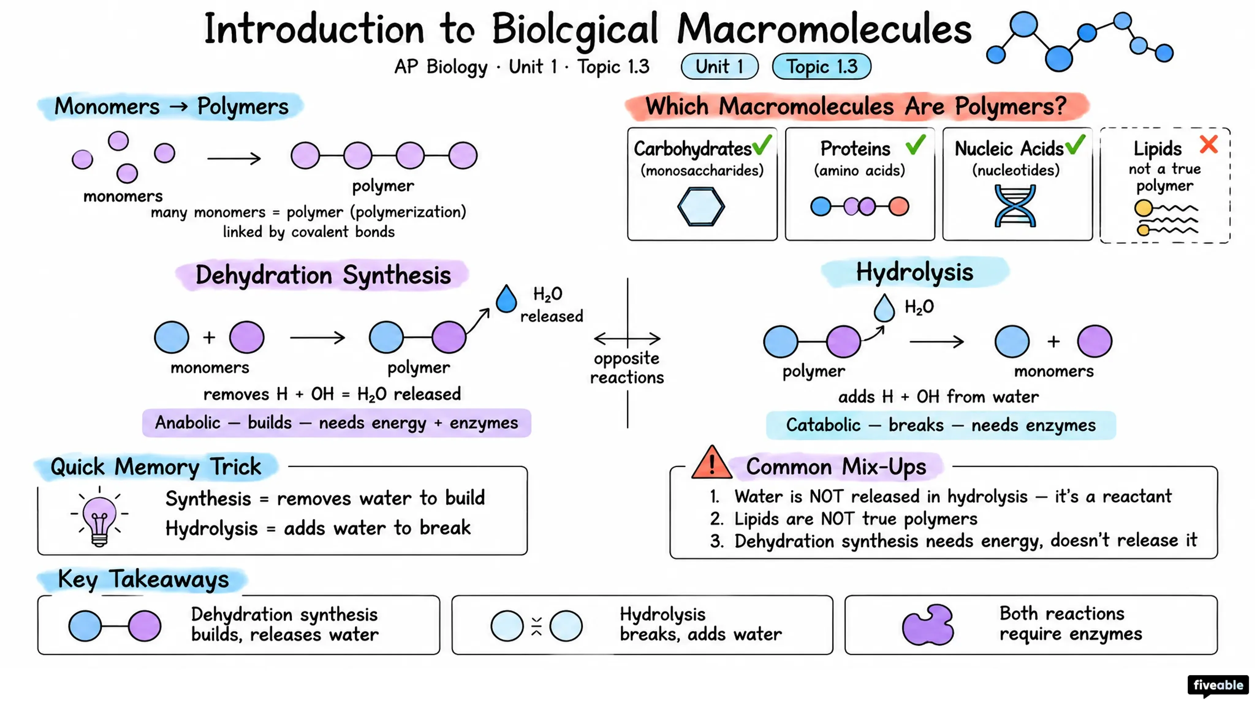1.3 Introduction to Biological Macromolecules - AP Biology - Unit 1 visual cheatsheet