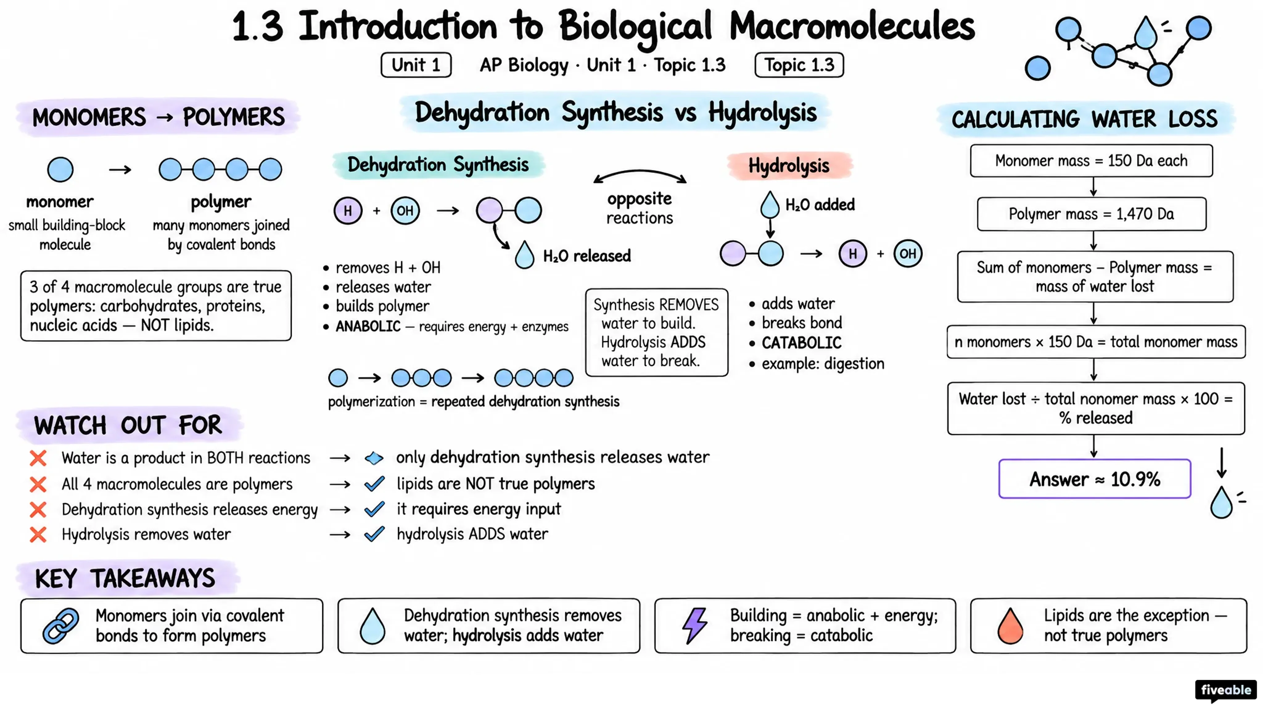 1.3 Introduction to Biological Macromolecules - AP Biology - Unit 1 visual cheatsheet