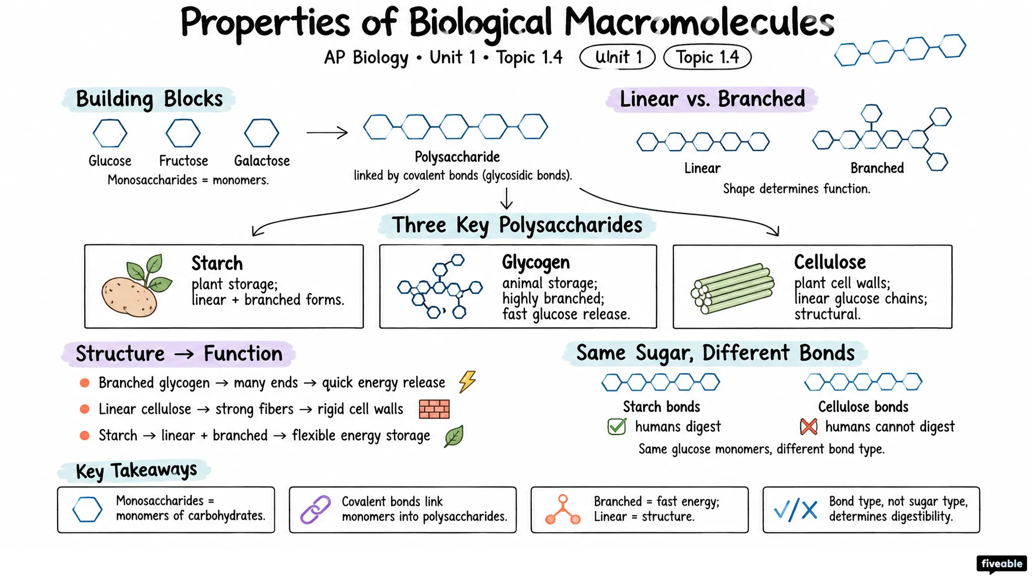 1.4 Properties of Biological Macromolecules - AP Biology - Unit 1 visual cheatsheet
