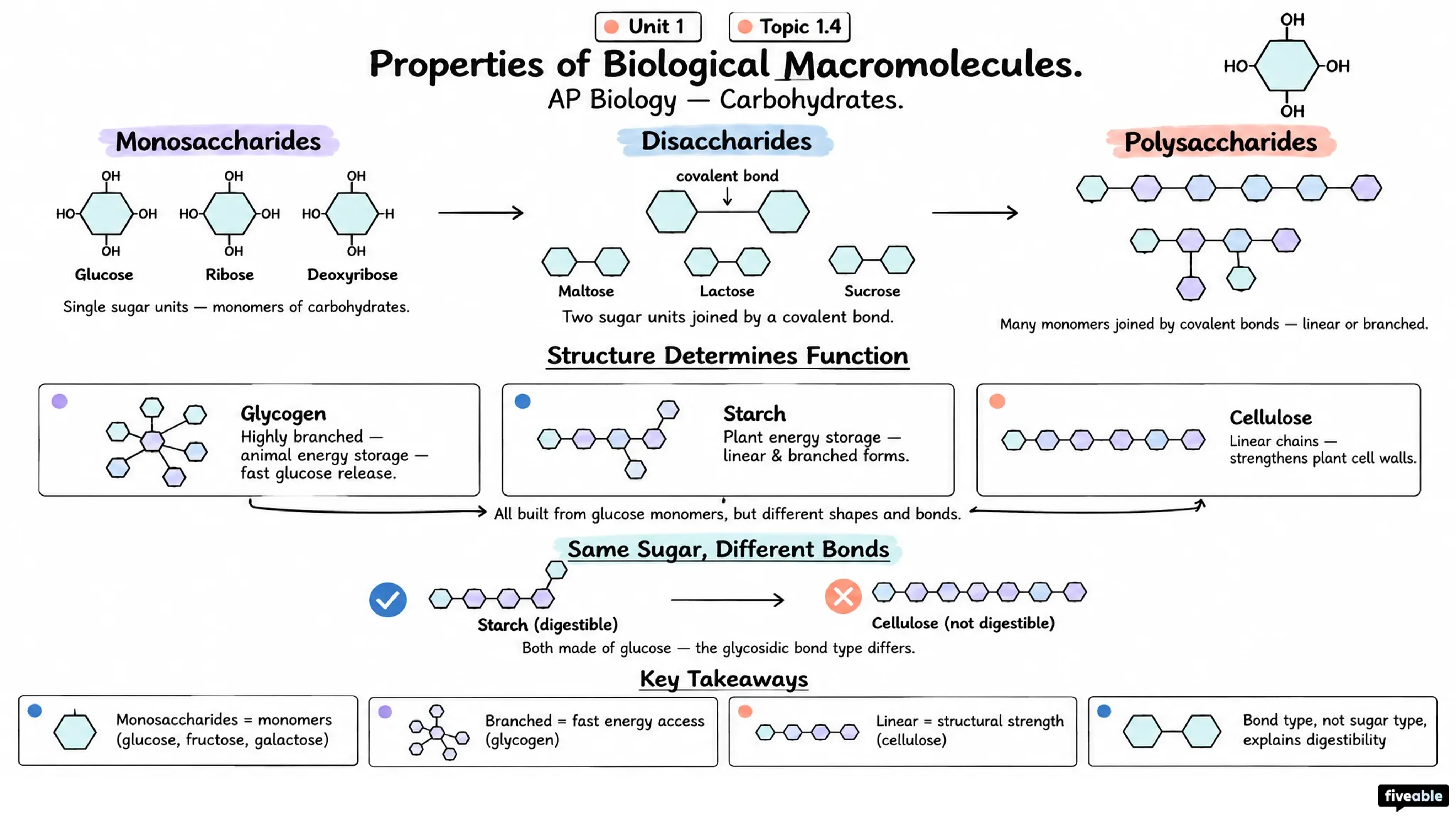 1.4 Properties of Biological Macromolecules - AP Biology - Unit 1 visual cheatsheet