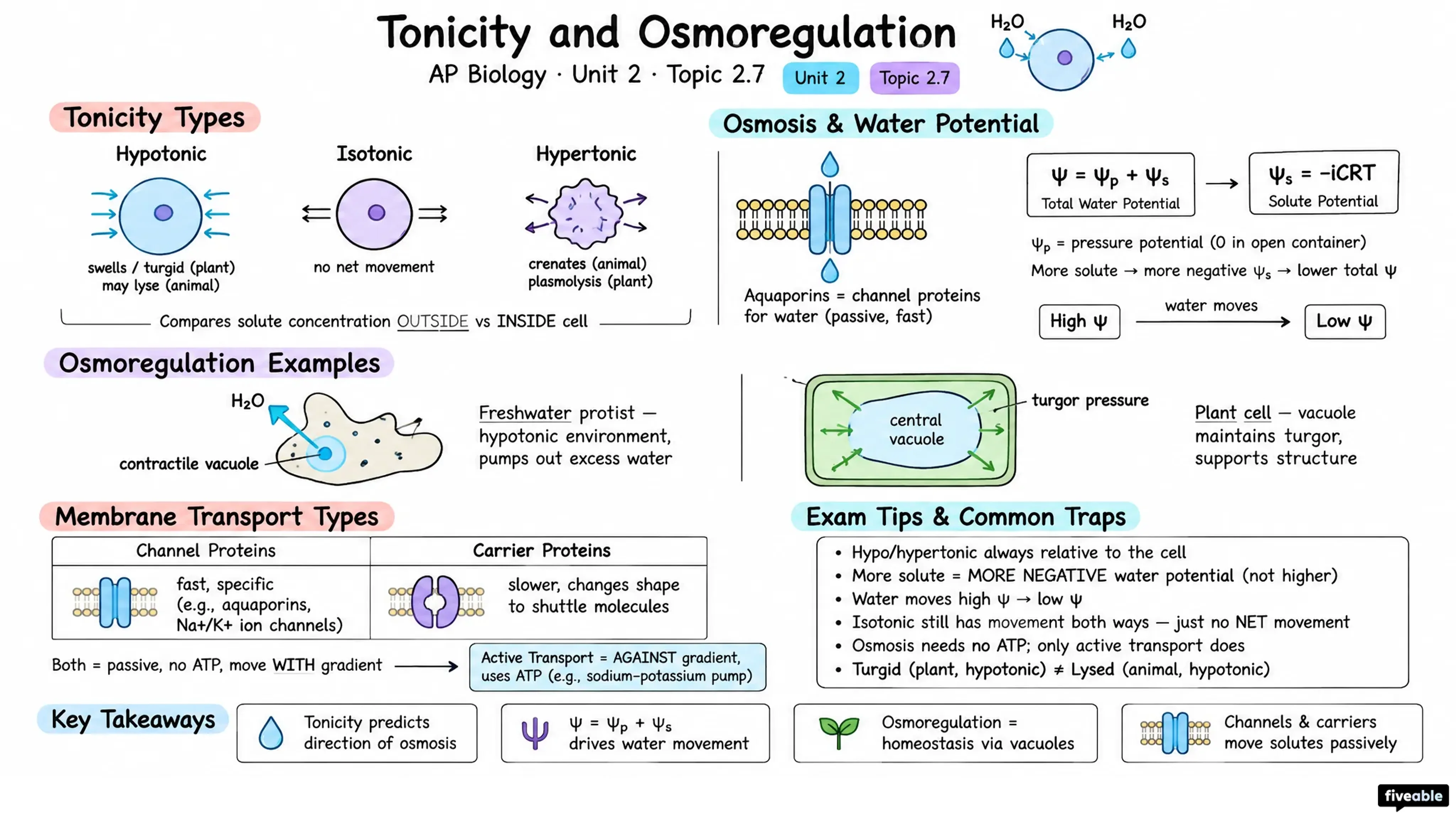 2.7 Tonicity and Osmoregulation - AP Biology - Unit 2 visual cheatsheet