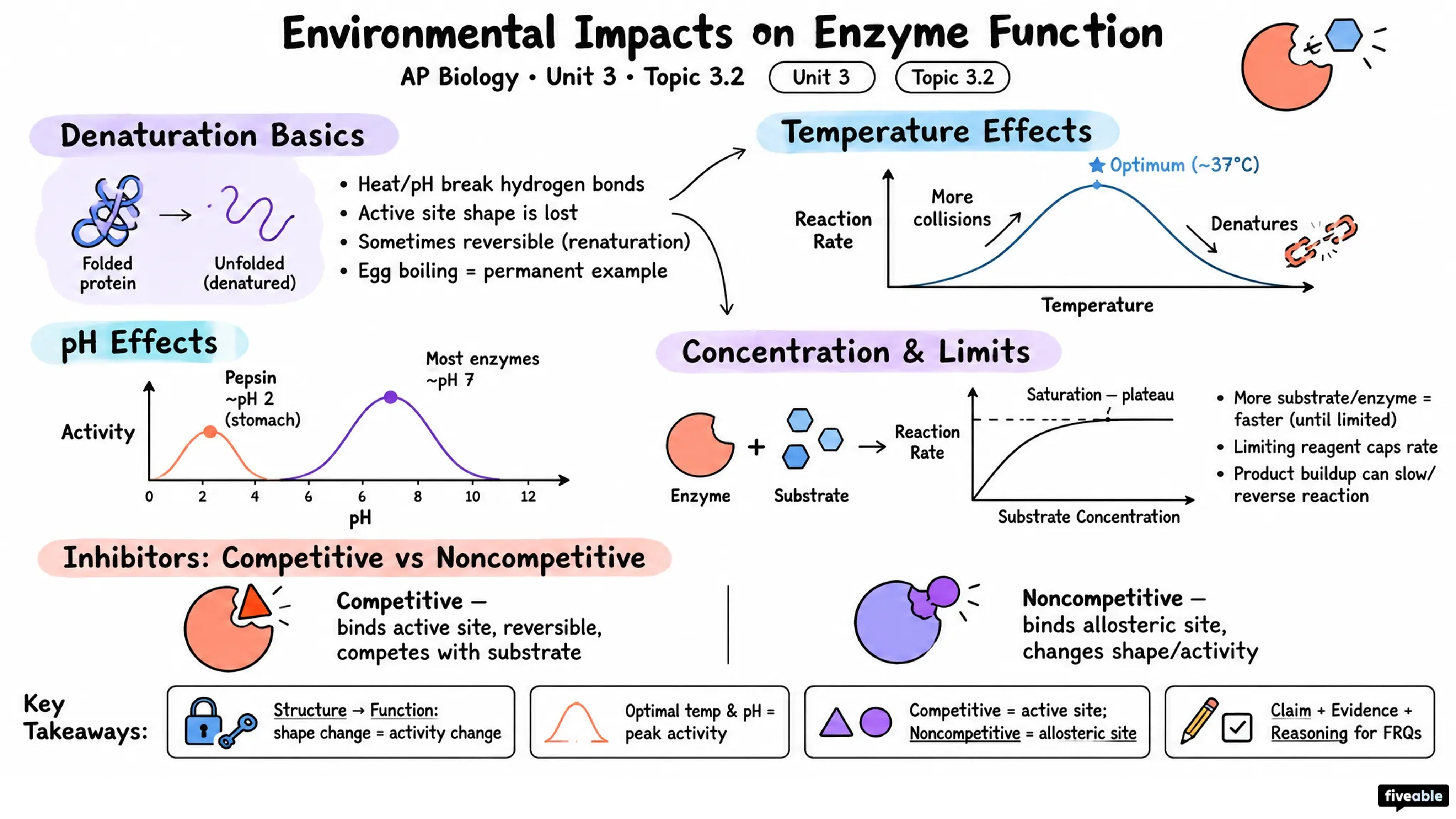 3.2 Environmental Impacts on Enzyme Function - AP Biology - Unit 3 visual cheatsheet