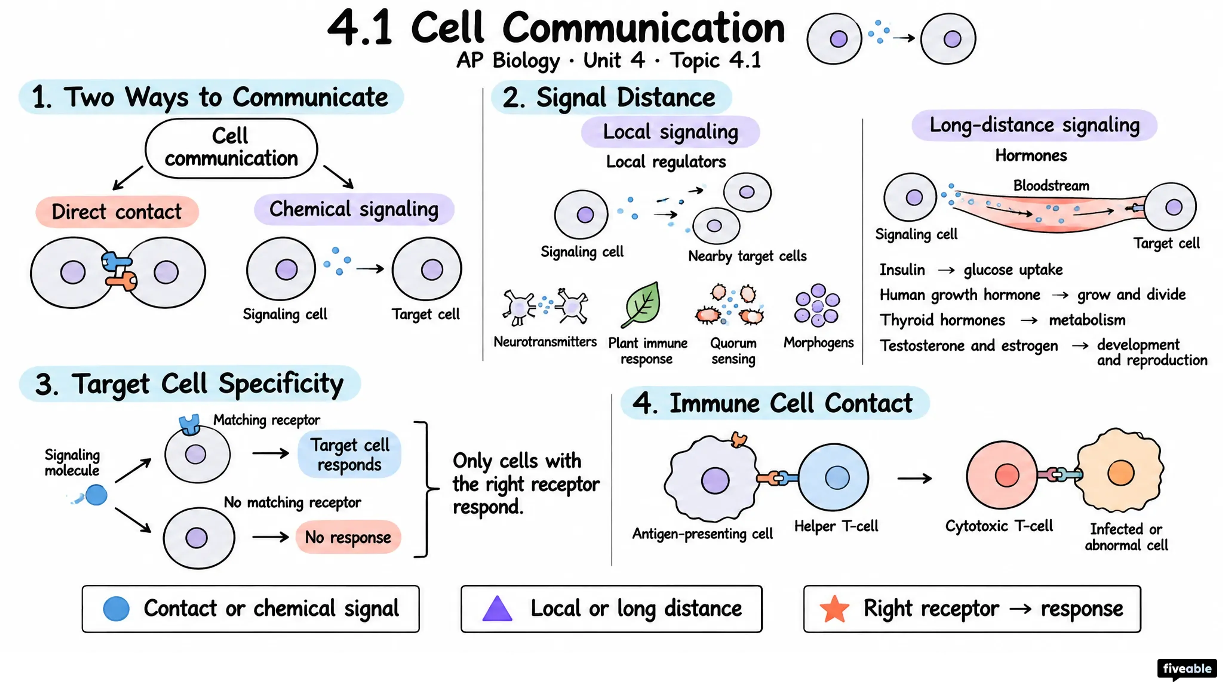 4.1 Cell Communication - AP Biology - Unit 4 visual cheatsheet