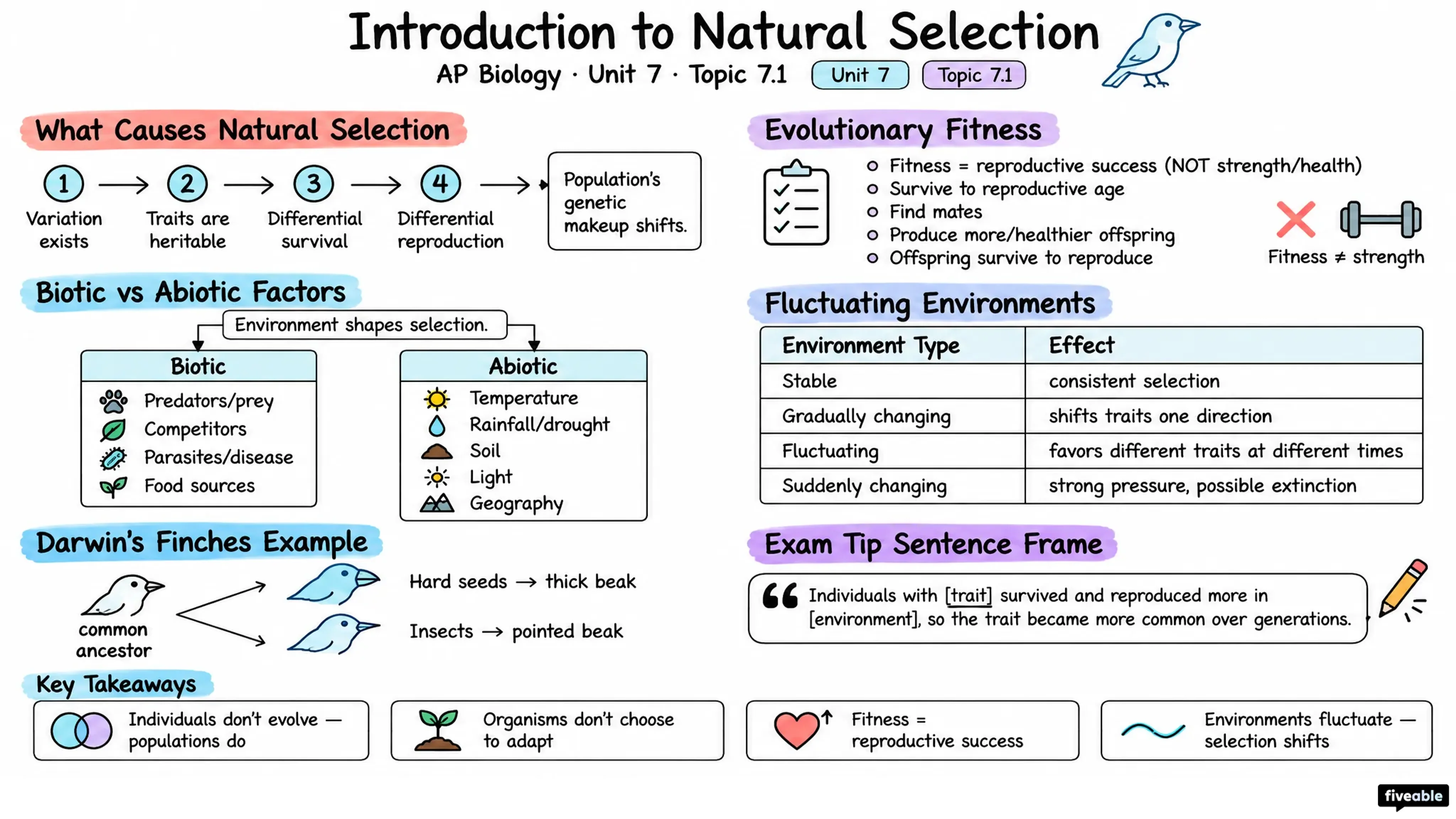 7.1 Introduction to Natural Selection - AP Biology - Unit 7 visual cheatsheet
