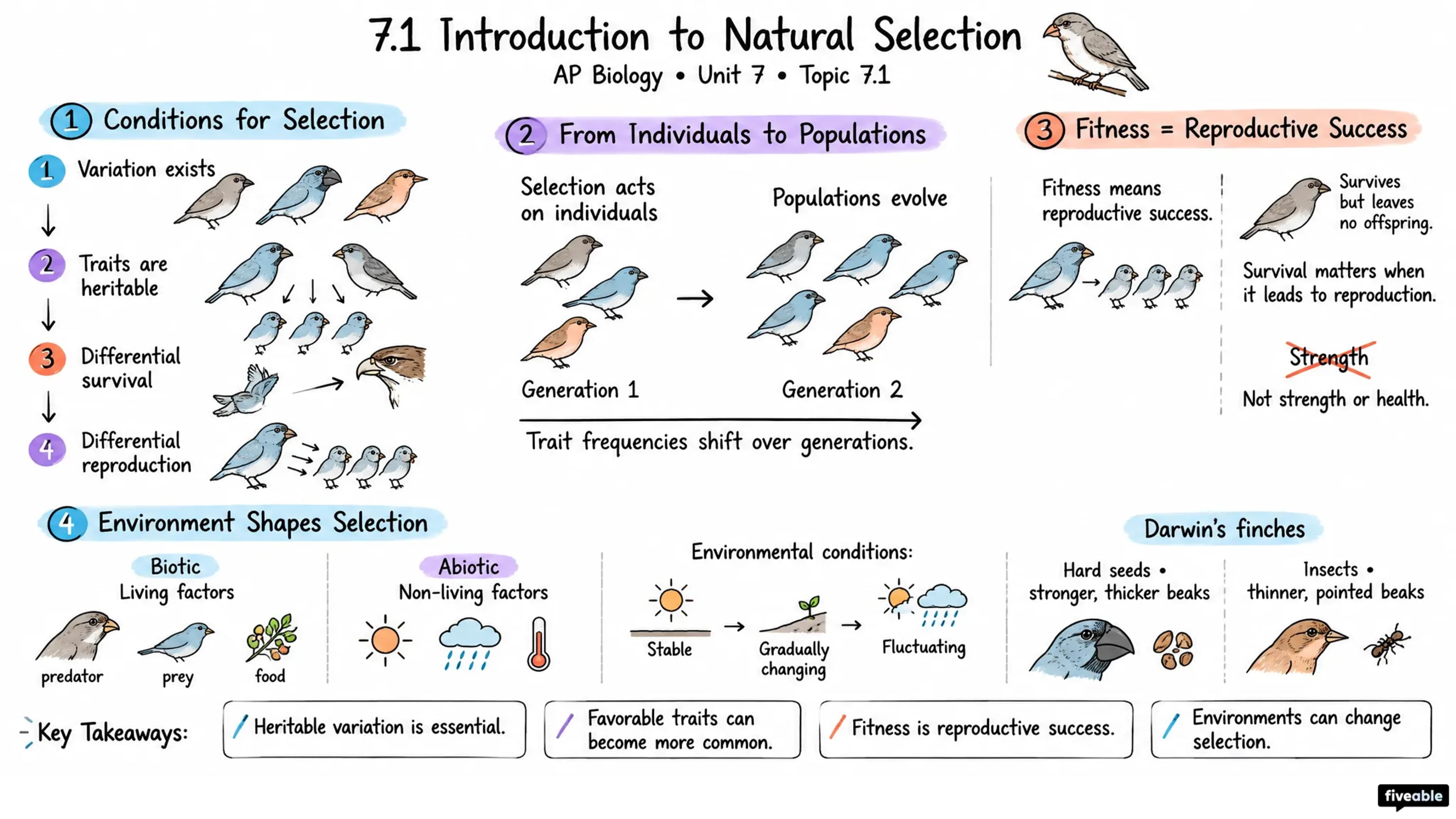 7.1 Introduction to Natural Selection - AP Biology - Unit 7 visual cheatsheet