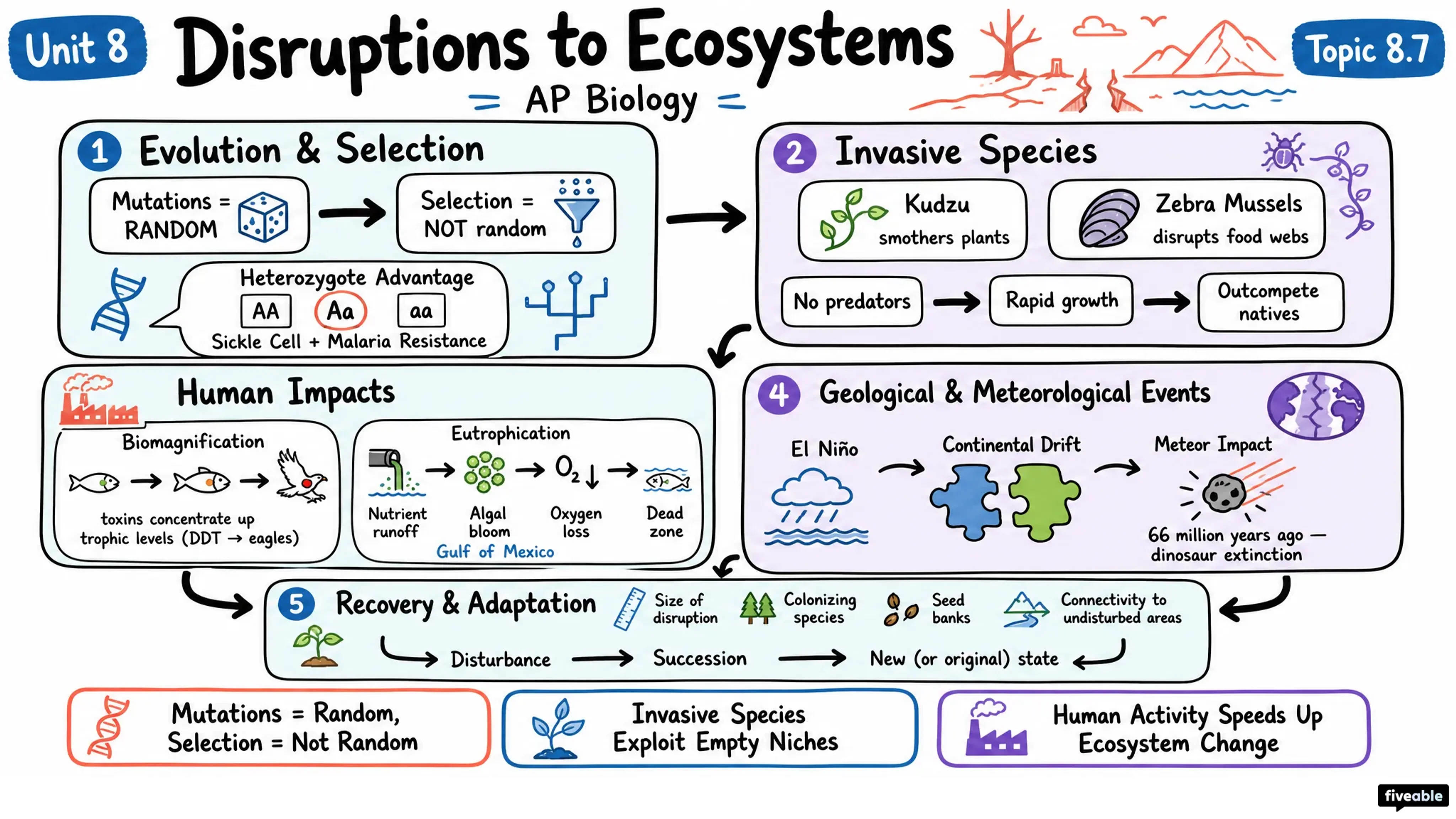 8.7 Disruptions to Ecosystems - AP Biology - Unit 8 visual cheatsheet