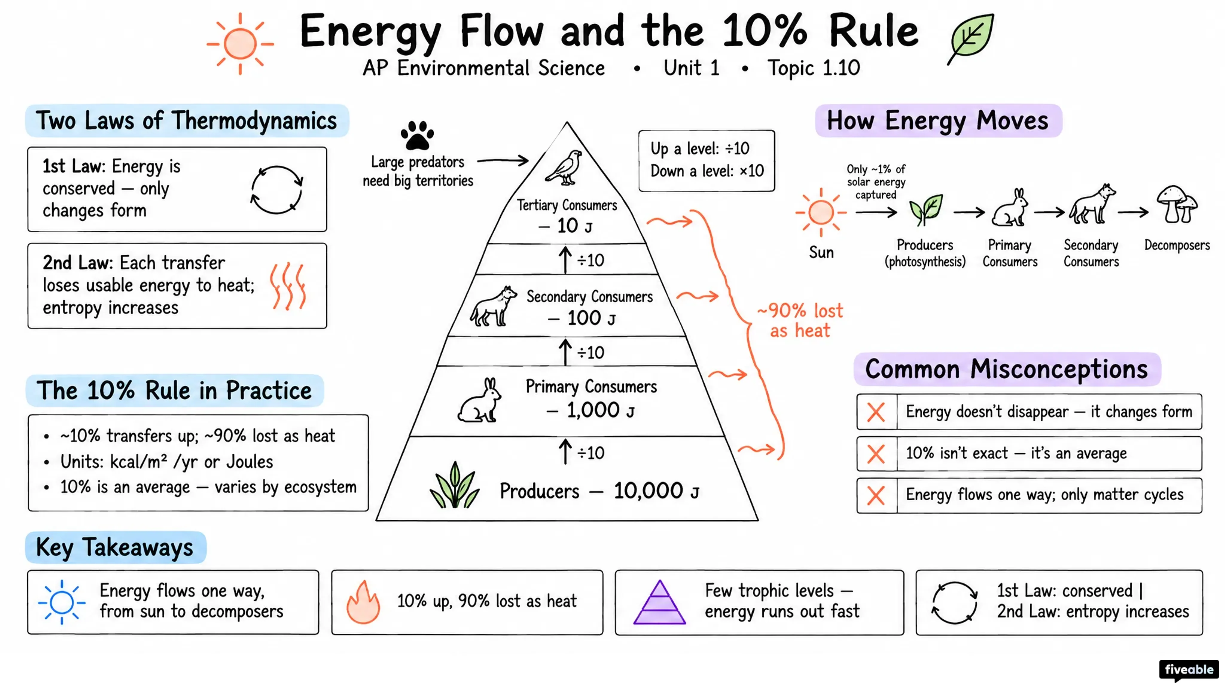 1.10 Energy Flow and the 10% Rule - AP Environmental Science - Unit 1 visual cheatsheet