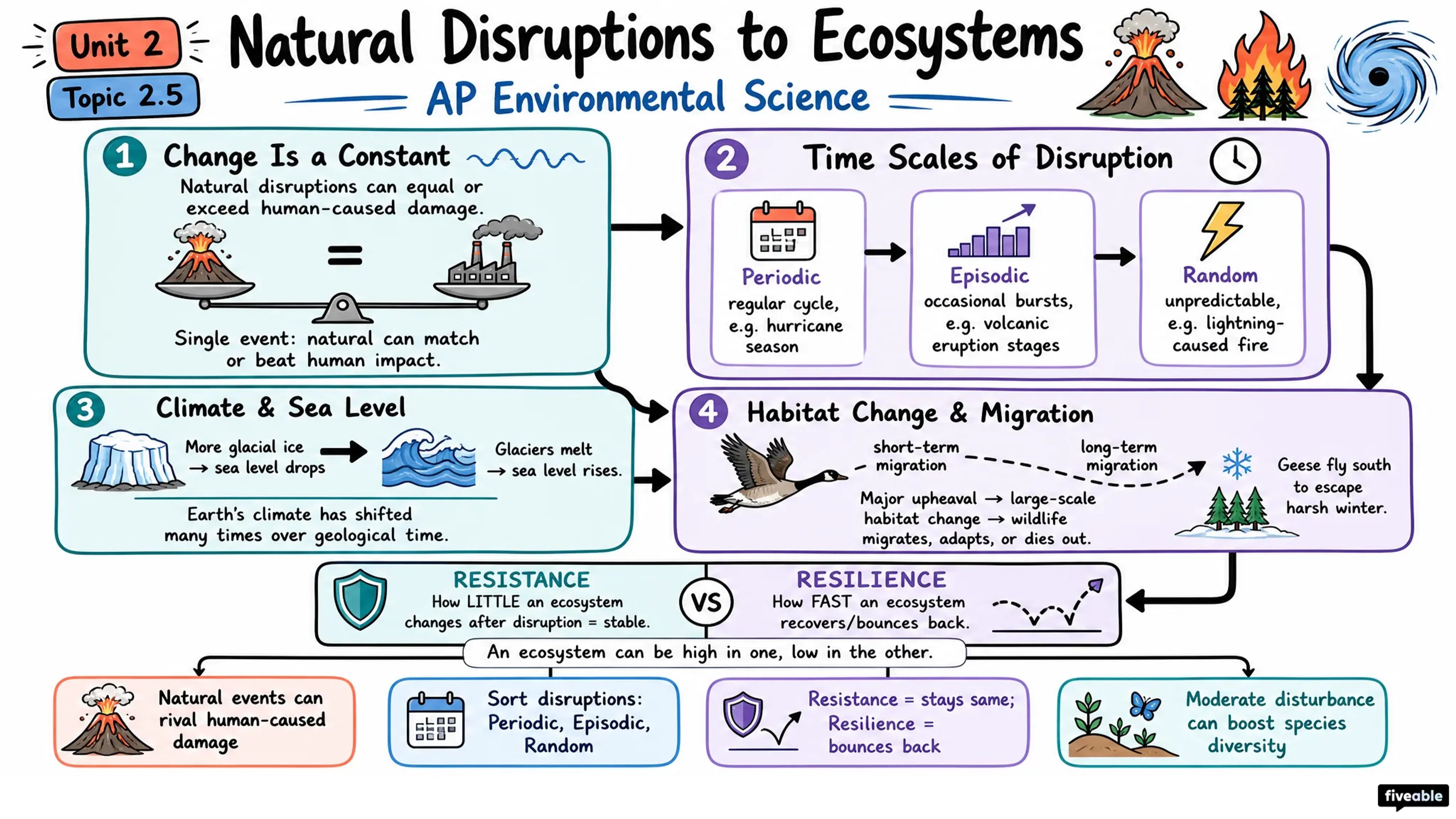 2.5 Natural Disruptions to Ecosystems - AP Environmental Science - Unit 2 visual cheatsheet