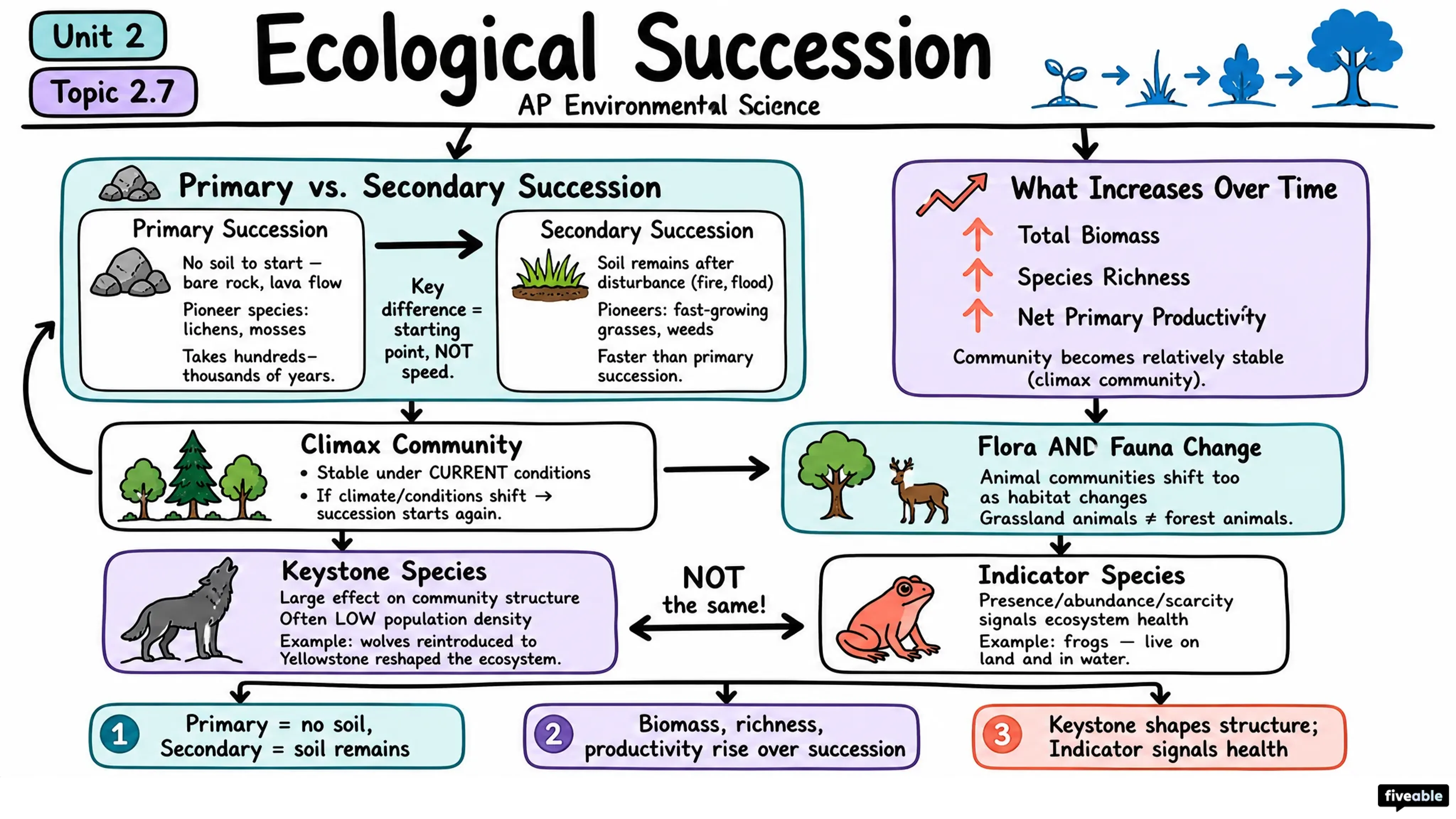 2.7 Ecological Succession - AP Environmental Science - Unit 2 visual cheatsheet