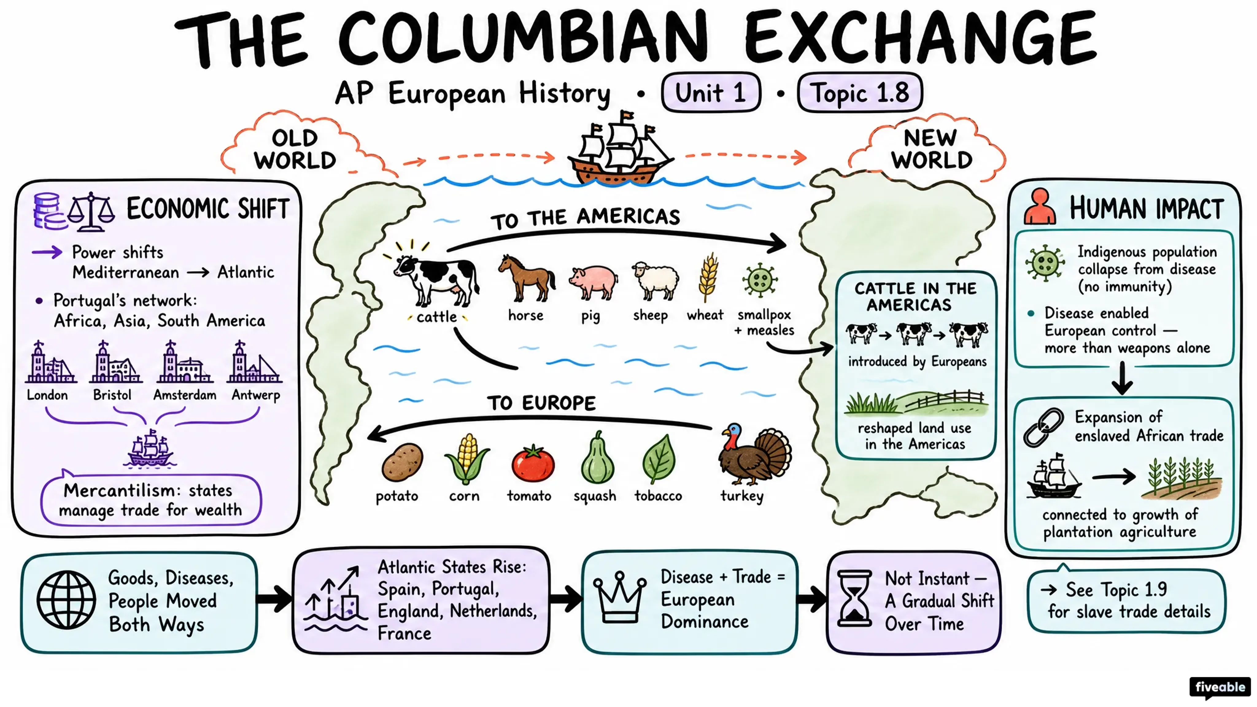 1.8 Columbian Exchange - AP European History - Unit 1 visual cheatsheet