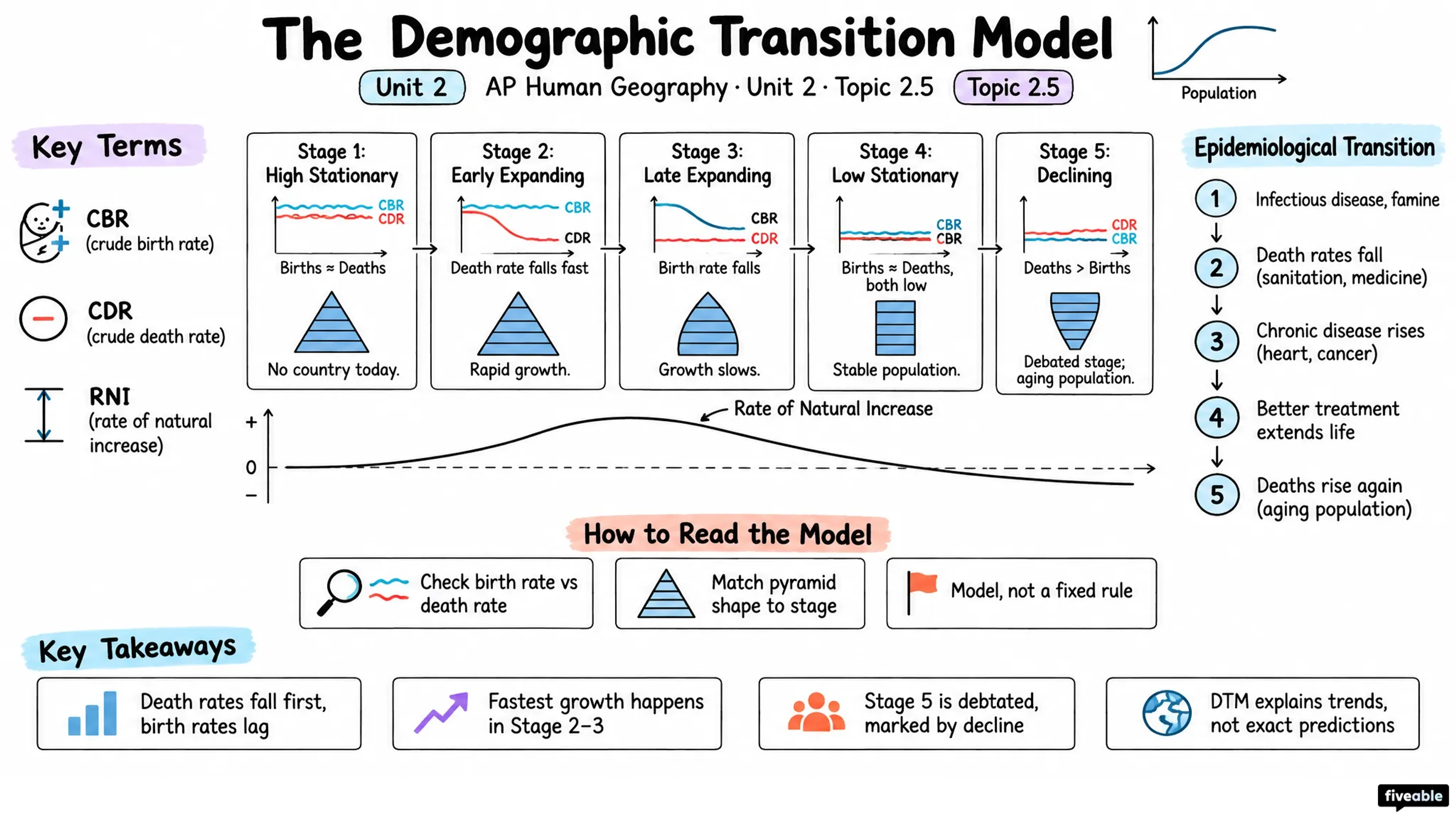 2.5 The Demographic Transition Model - AP Human Geography - Unit 2 visual cheatsheet