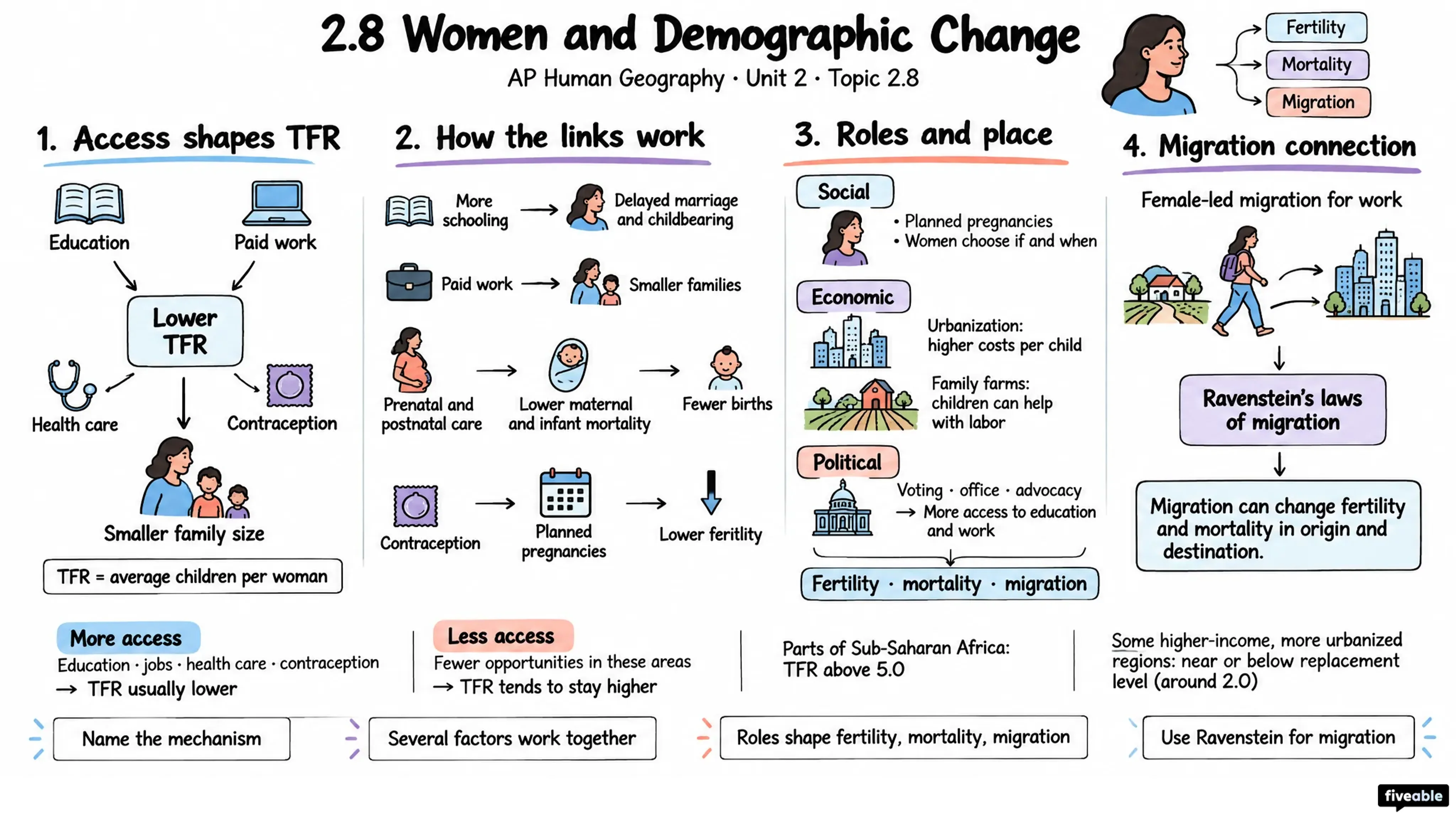 2.8 Women and Demographic Change - AP Human Geography - Unit 2 visual cheatsheet