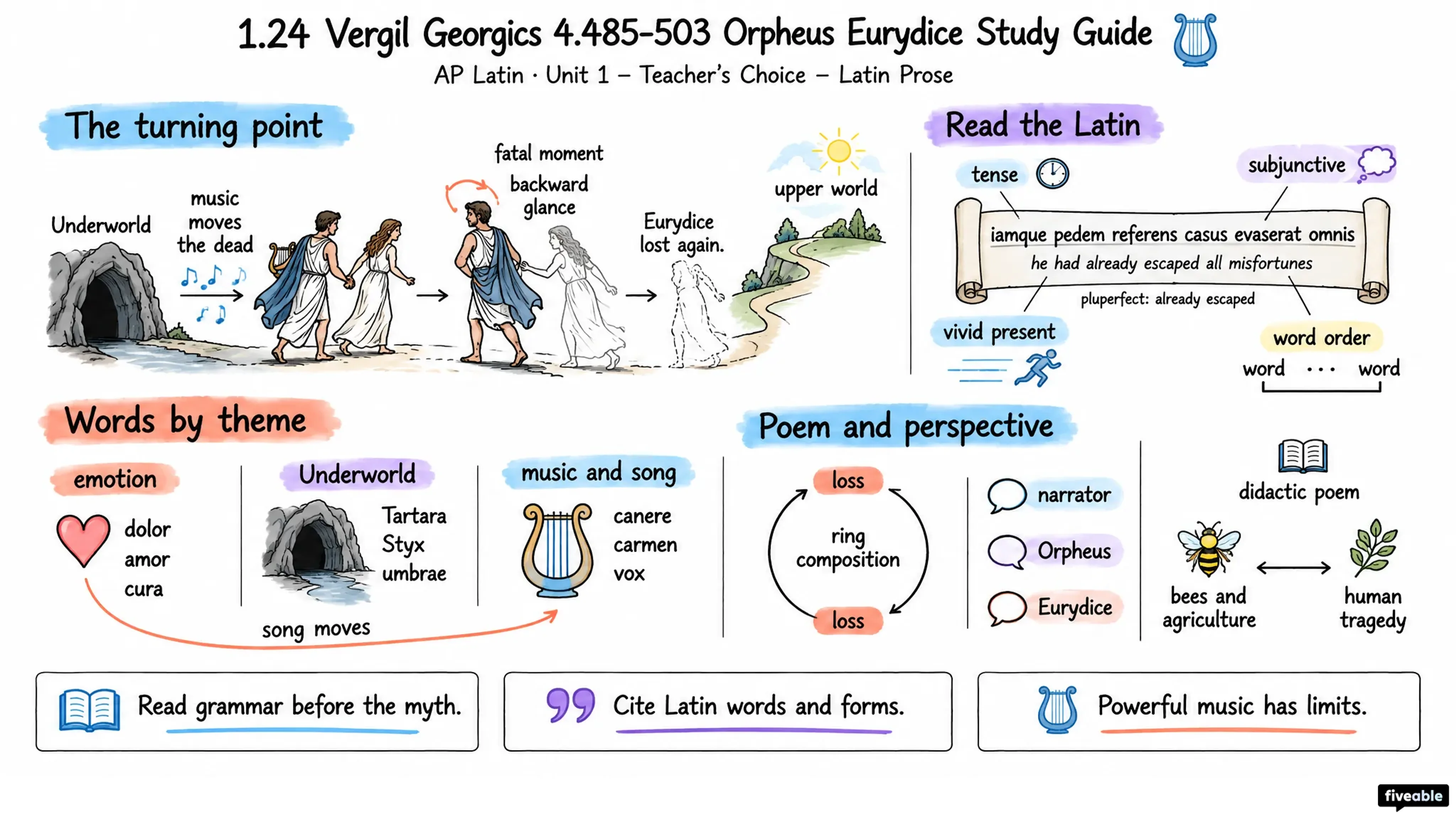 1.24 Vergil Georgics 4.485-503 Orpheus Eurydice Study Guide - AP Latin - Unit 1 visual cheatsheet