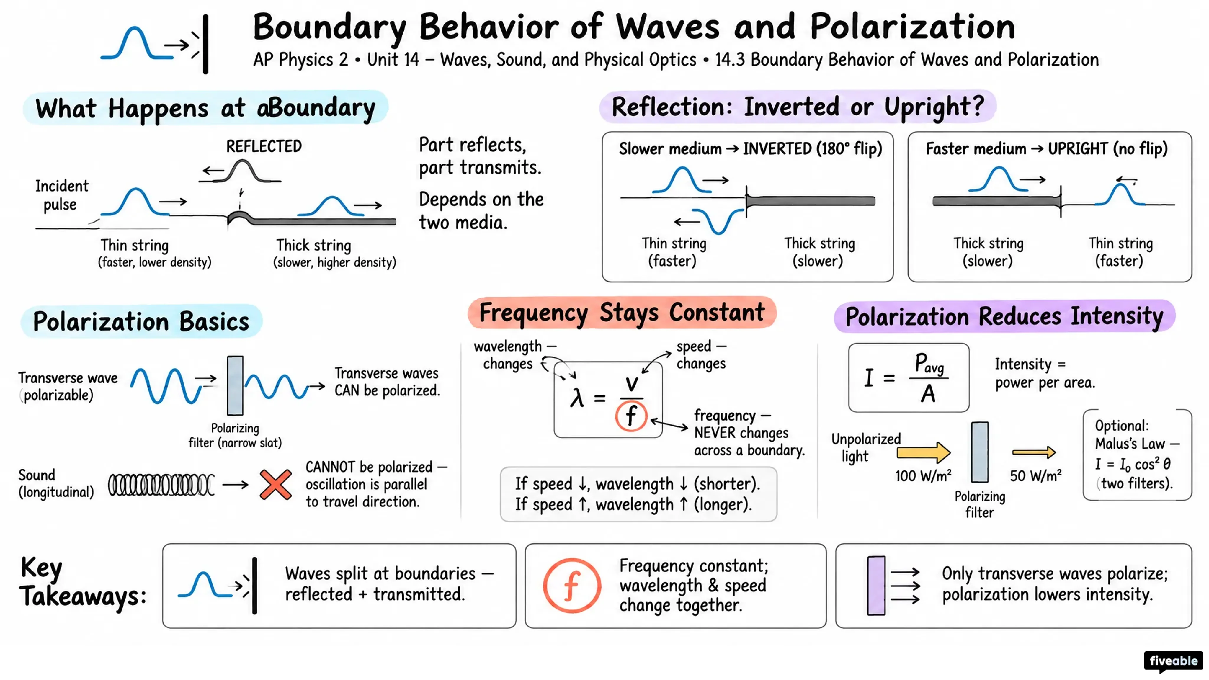 14.3 Boundary Behavior of Waves and Polarization - AP Physics 2 - Unit 14 visual cheatsheet