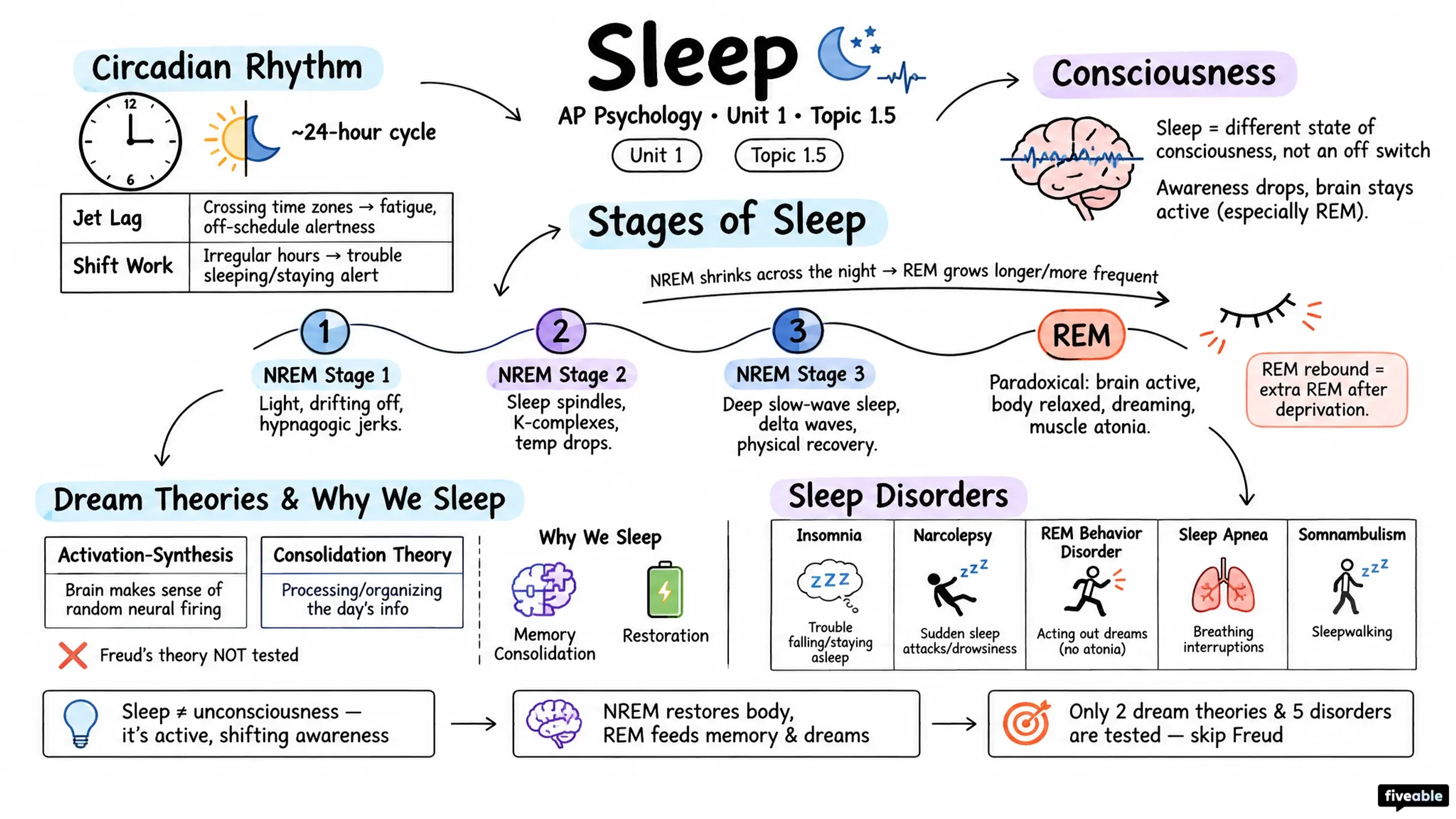1.5 Sleep - AP Psychology - Unit 1 visual cheatsheet