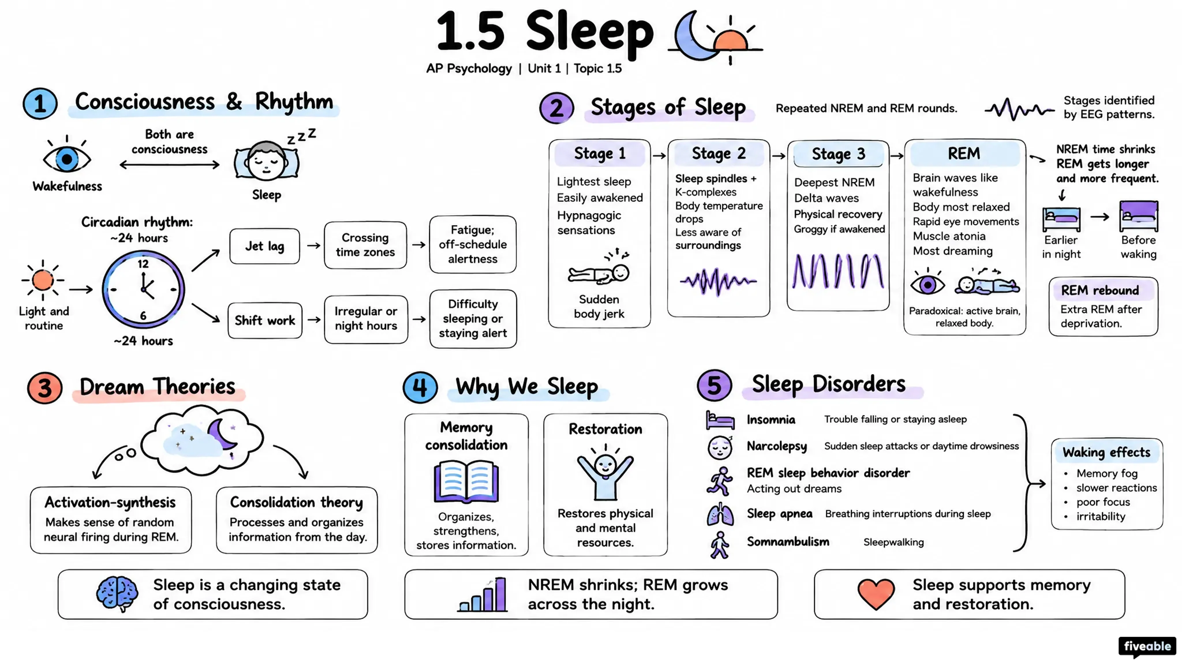1.5 Sleep - AP Psychology - Unit 1 visual cheatsheet