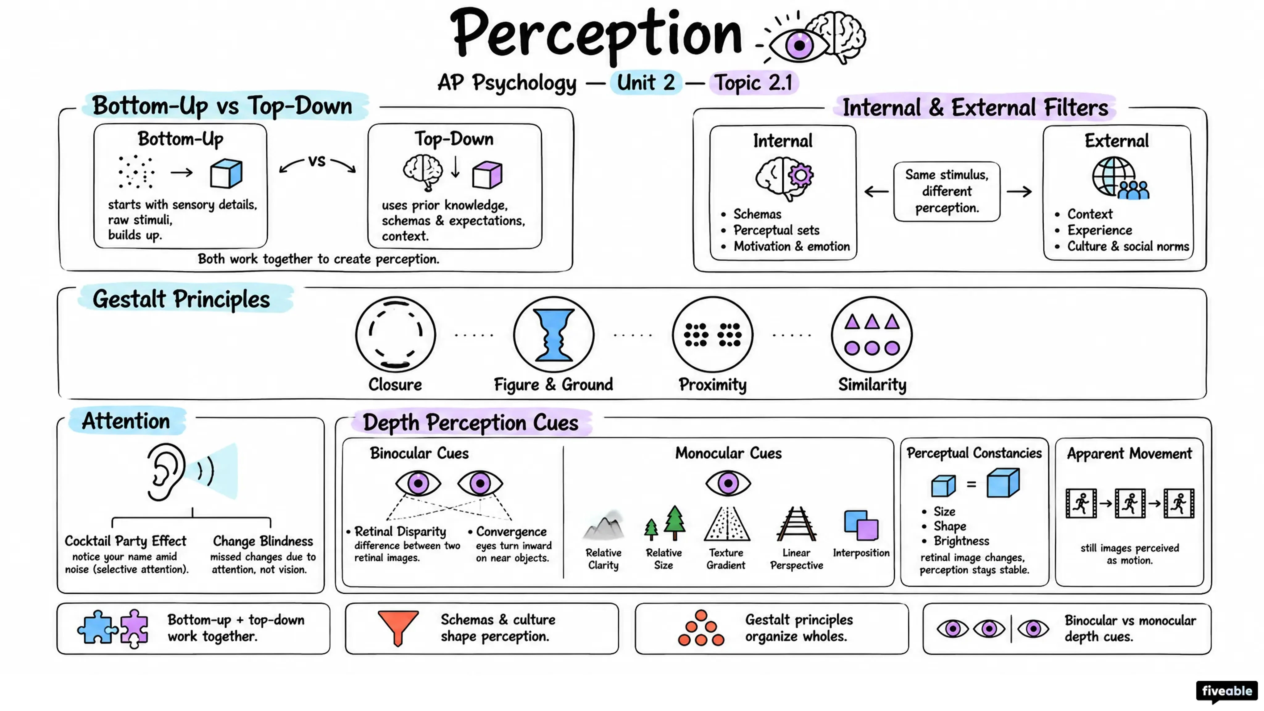 2.1 Perception - AP Psychology - Unit 2 visual cheatsheet
