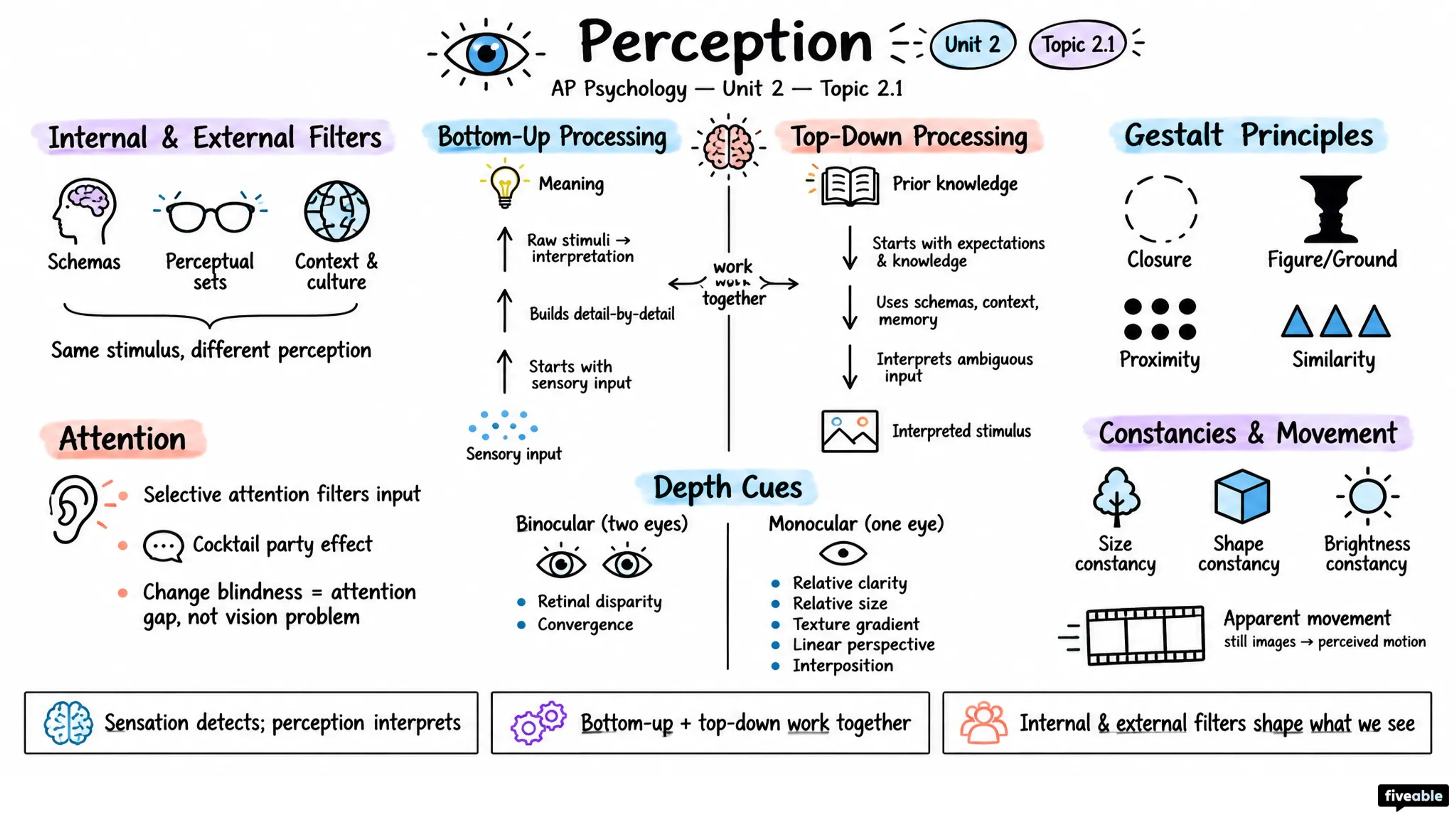 2.1 Perception - AP Psychology - Unit 2 visual cheatsheet