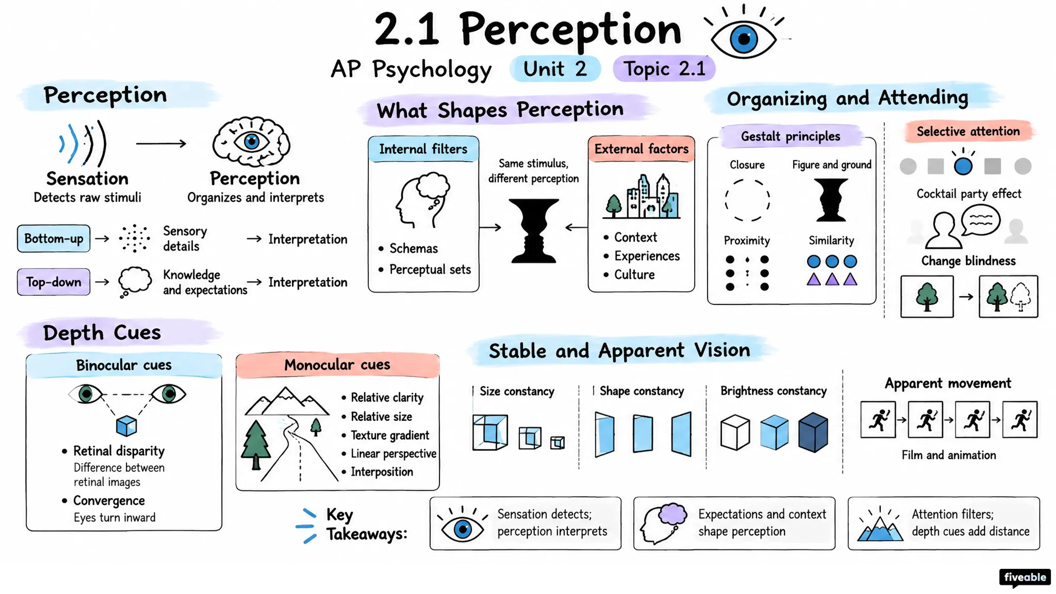 2.1 Perception - AP Psychology - Unit 2 visual cheatsheet