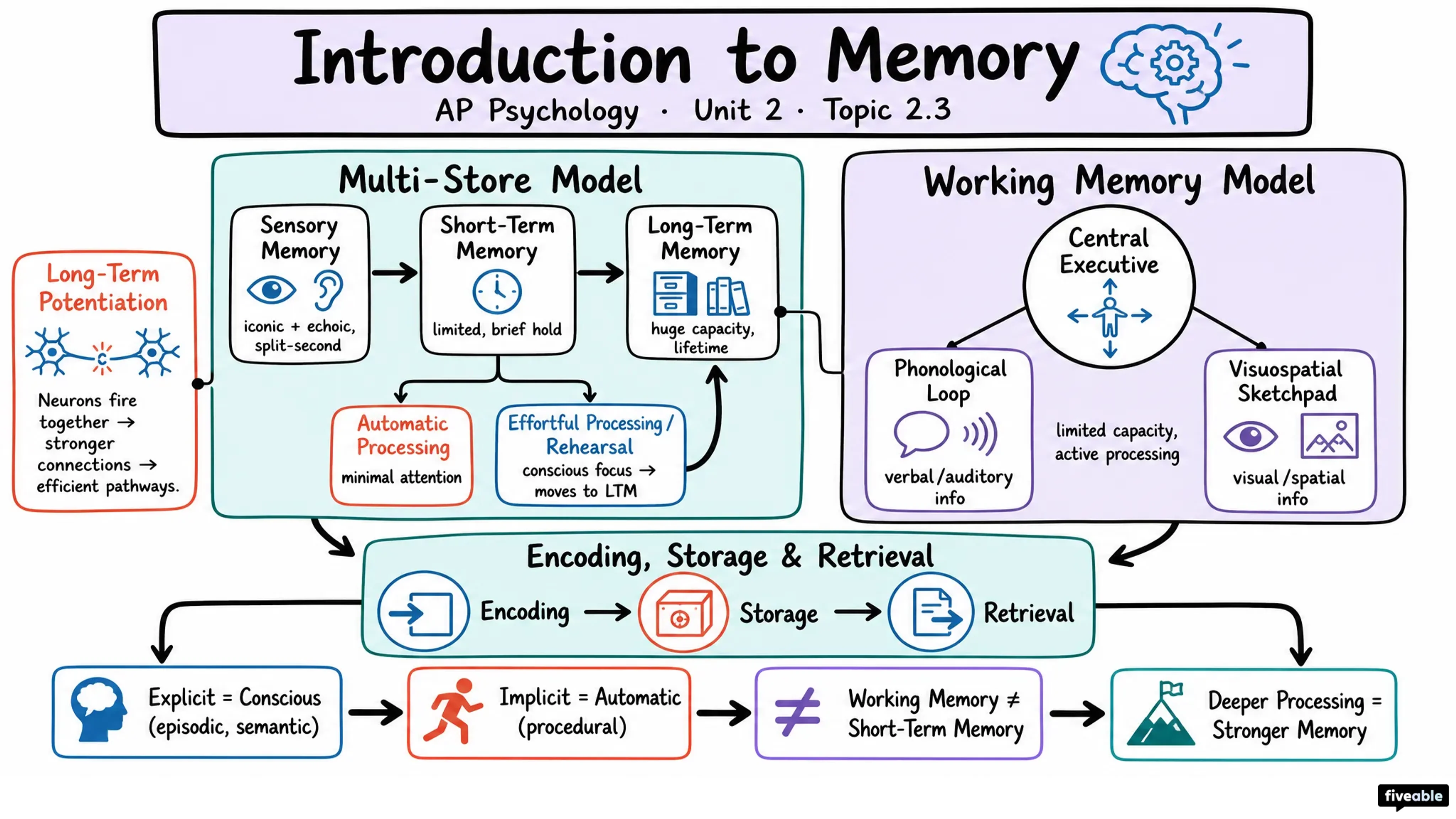 2.3 Introduction to Memory - AP Psychology - Unit 2 visual cheatsheet