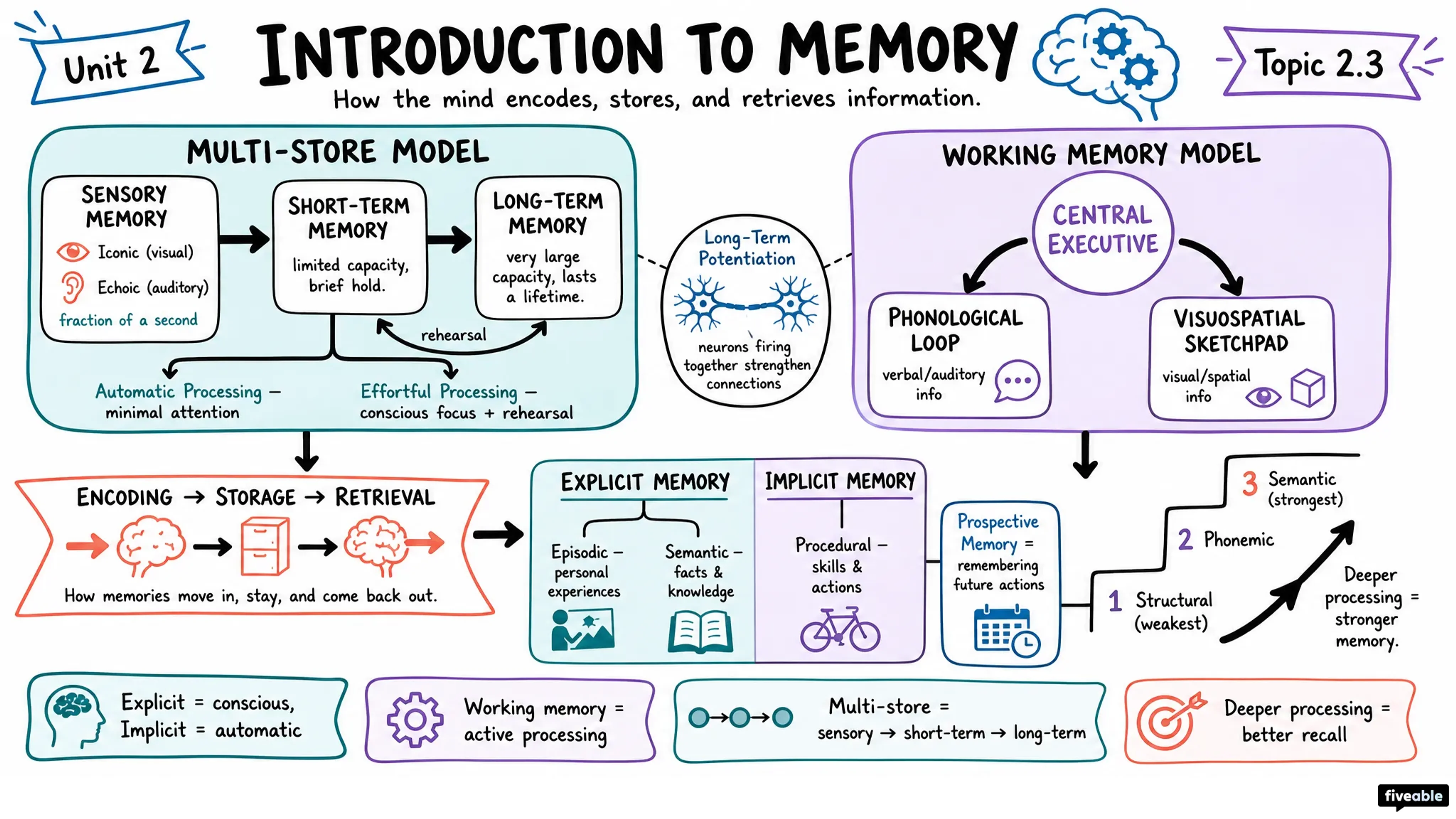 2.3 Introduction to Memory - AP Psychology - Unit 2 visual cheatsheet