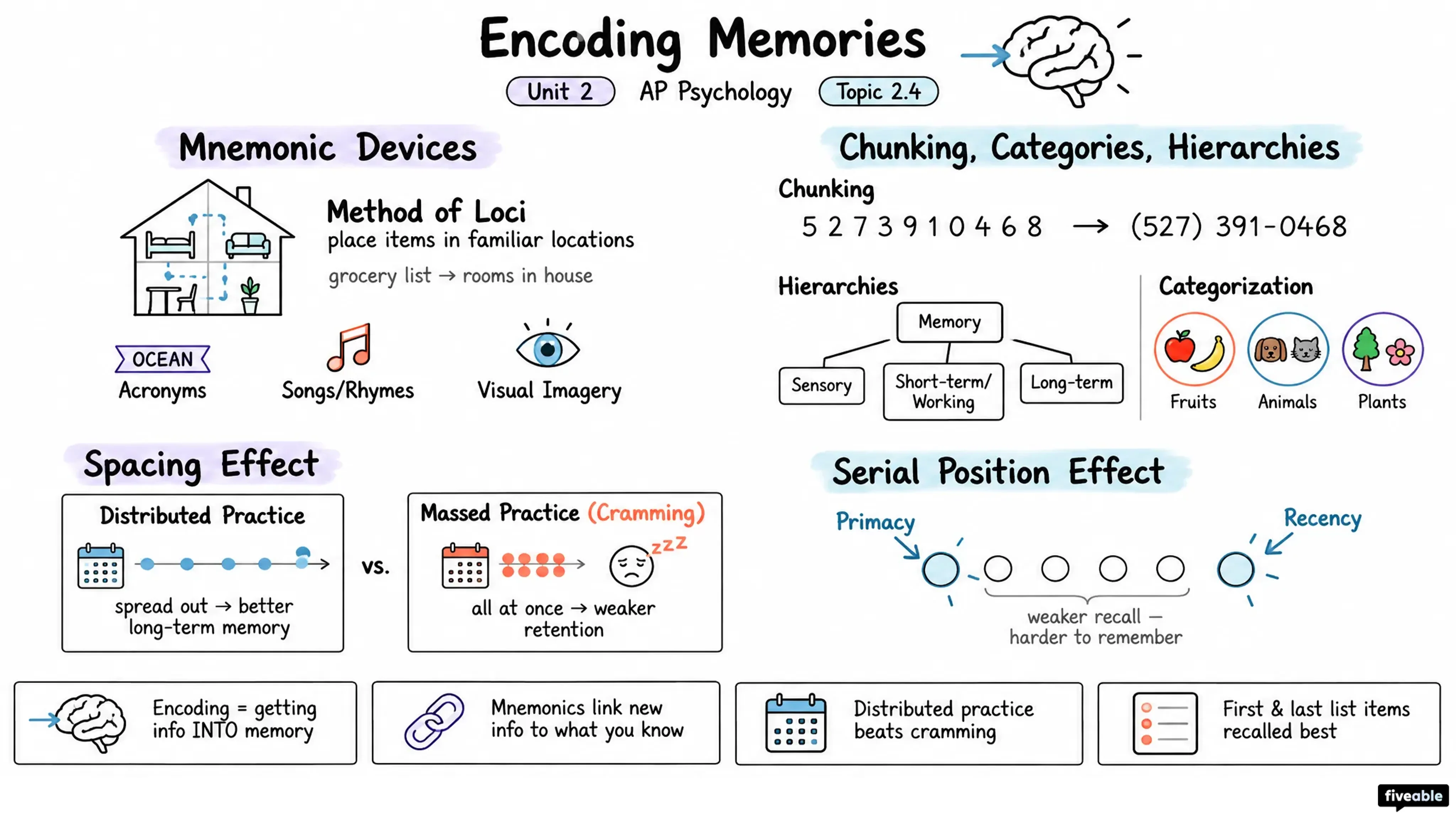 2.4 Encoding Memories - AP Psychology - Unit 2 visual cheatsheet
