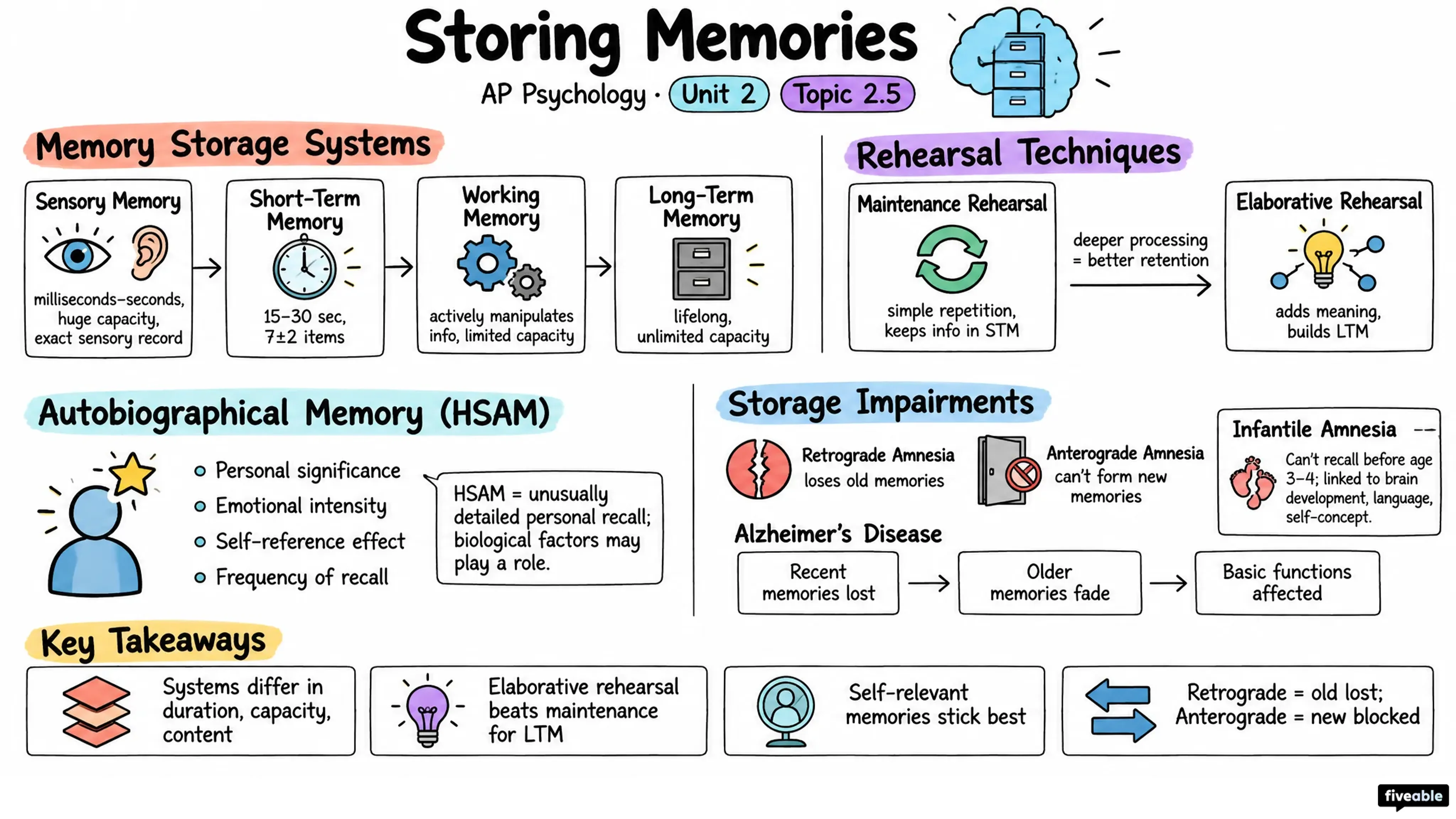 2.5 Storing Memories - AP Psychology - Unit 2 visual cheatsheet