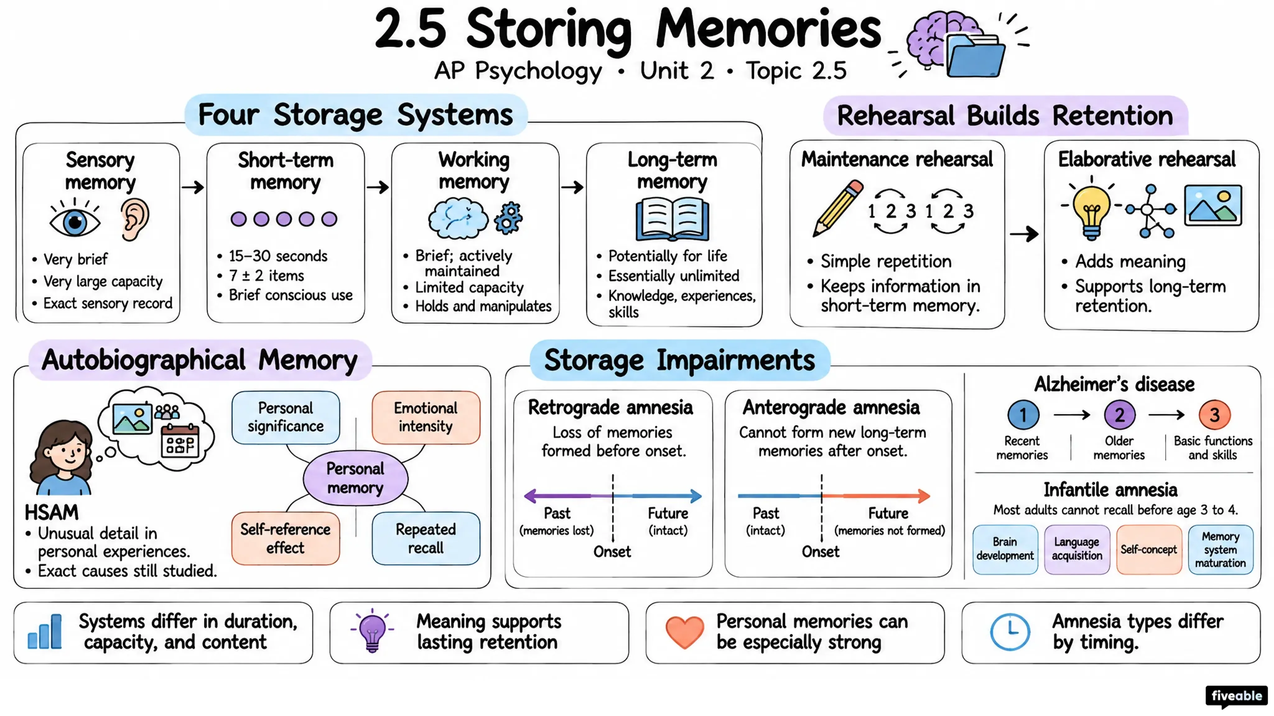 2.5 Storing Memories - AP Psychology - Unit 2 visual cheatsheet