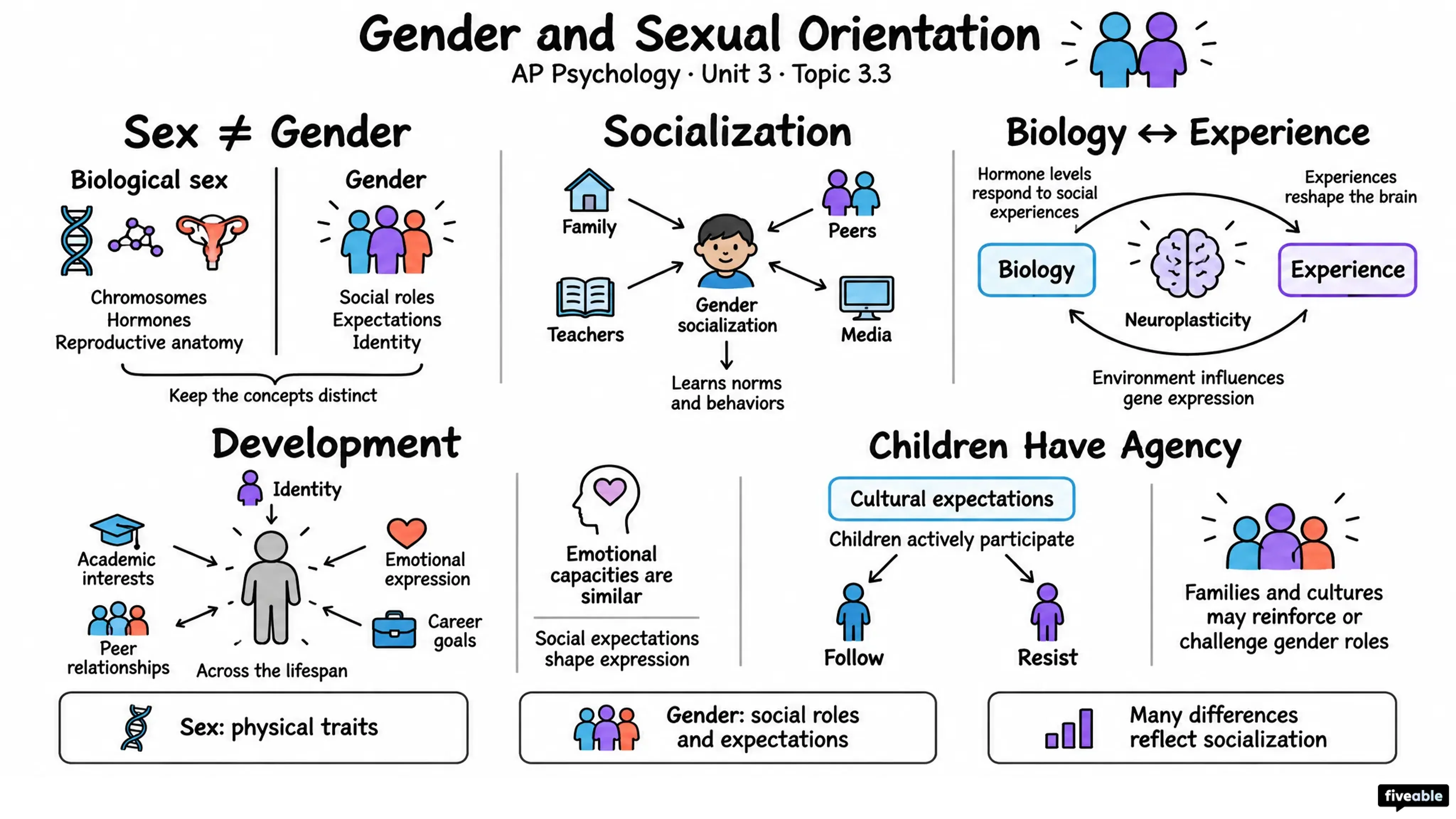 3.3 Gender and Sexual Orientation - AP Psychology - Unit 3 visual cheatsheet