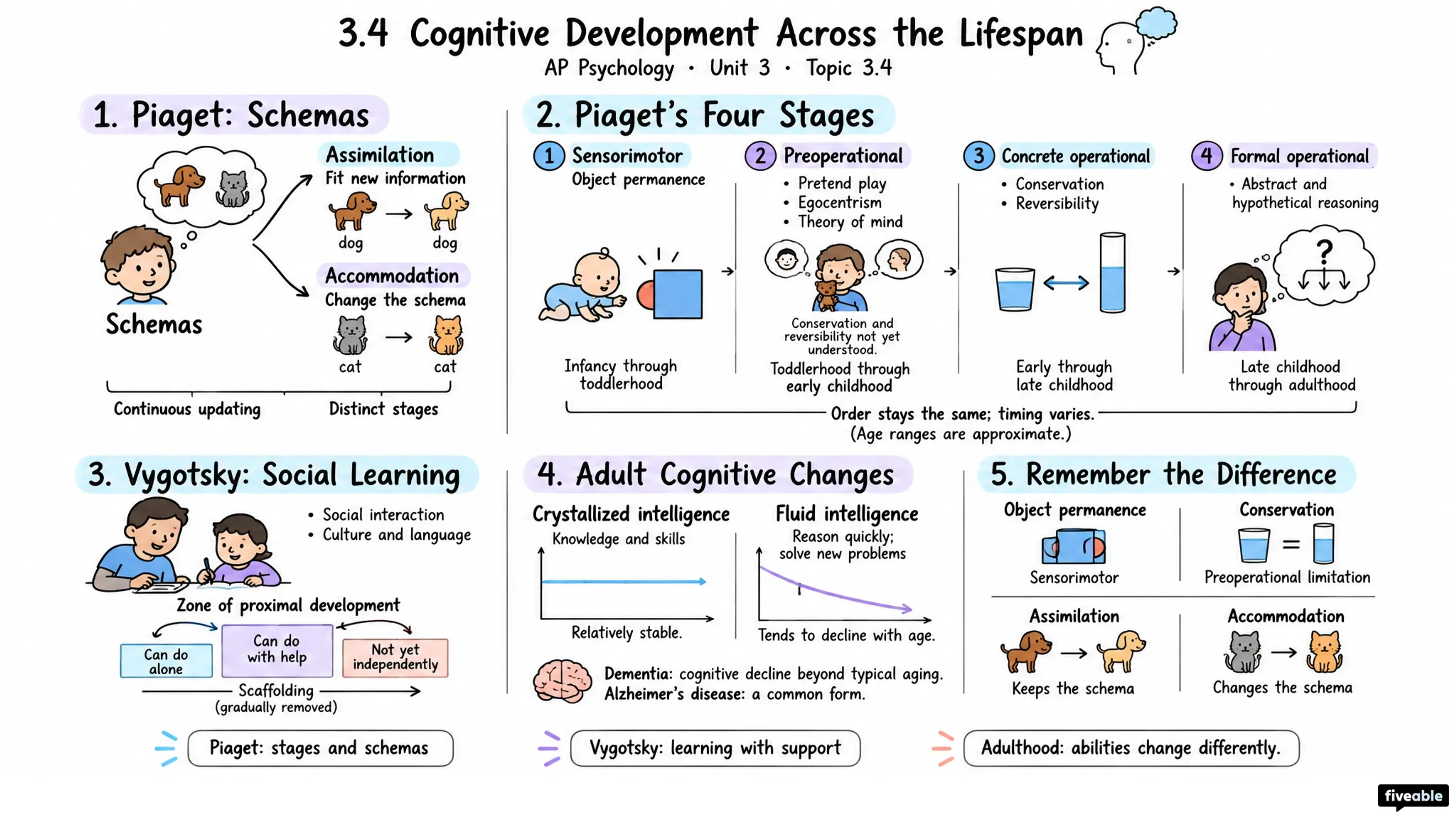 3.4 Cognitive Development Across the Lifespan - AP Psychology - Unit 3 visual cheatsheet
