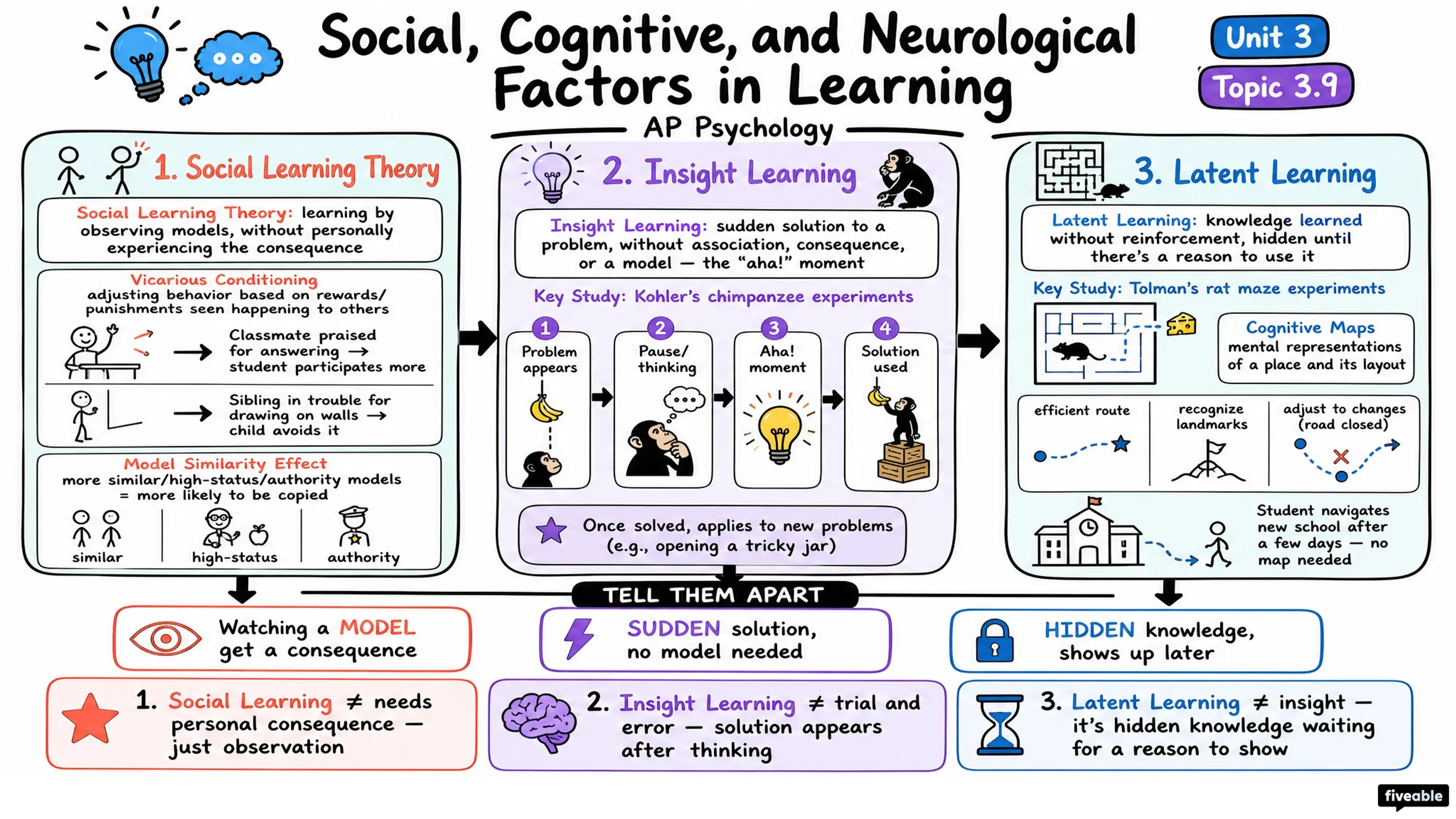 3.9 Social, Cognitive, and Neurological Factors in Learning - AP Psychology - Unit 3 visual cheatsheet