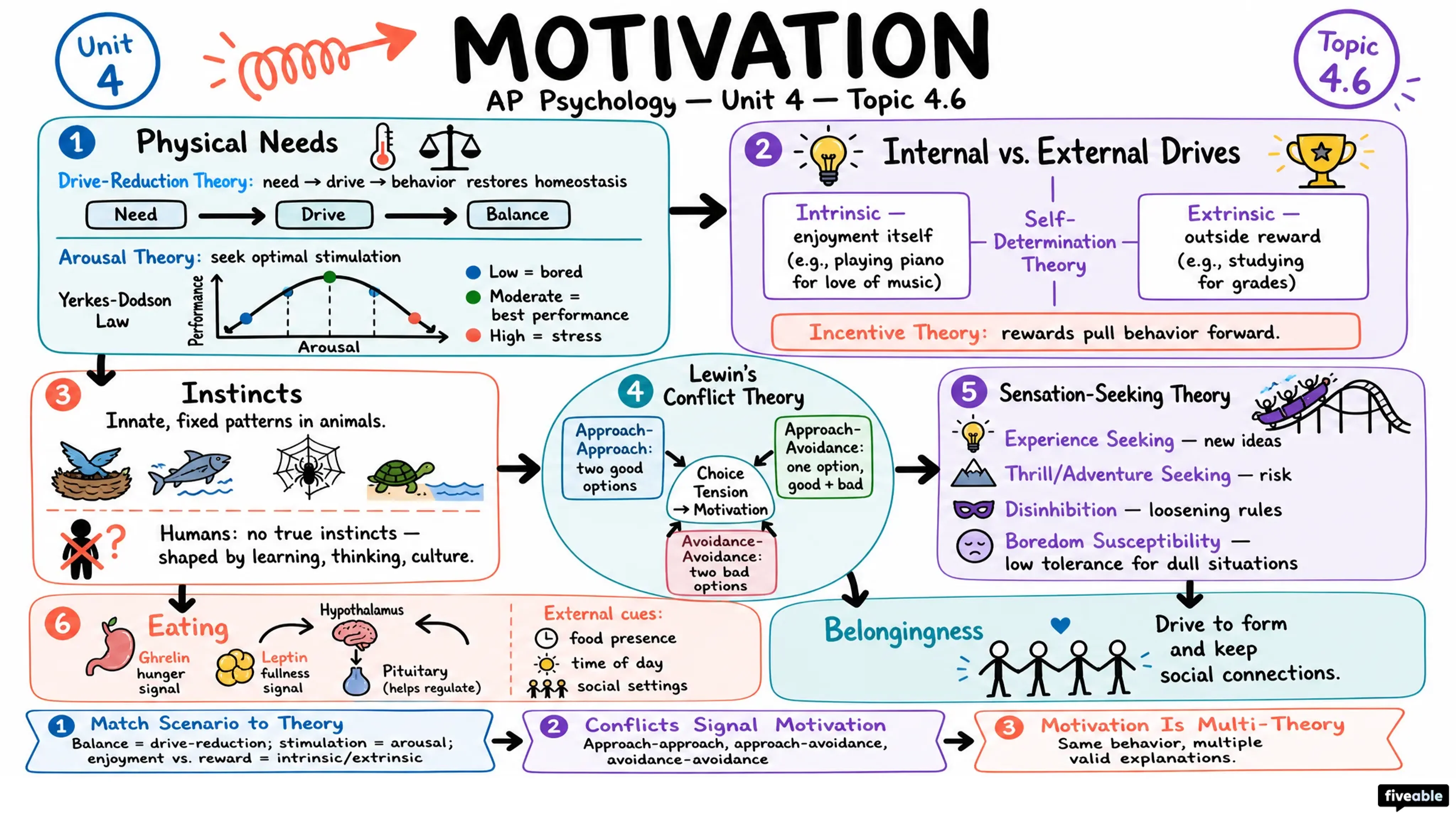 4.6 Motivation - AP Psychology - Unit 4 visual cheatsheet