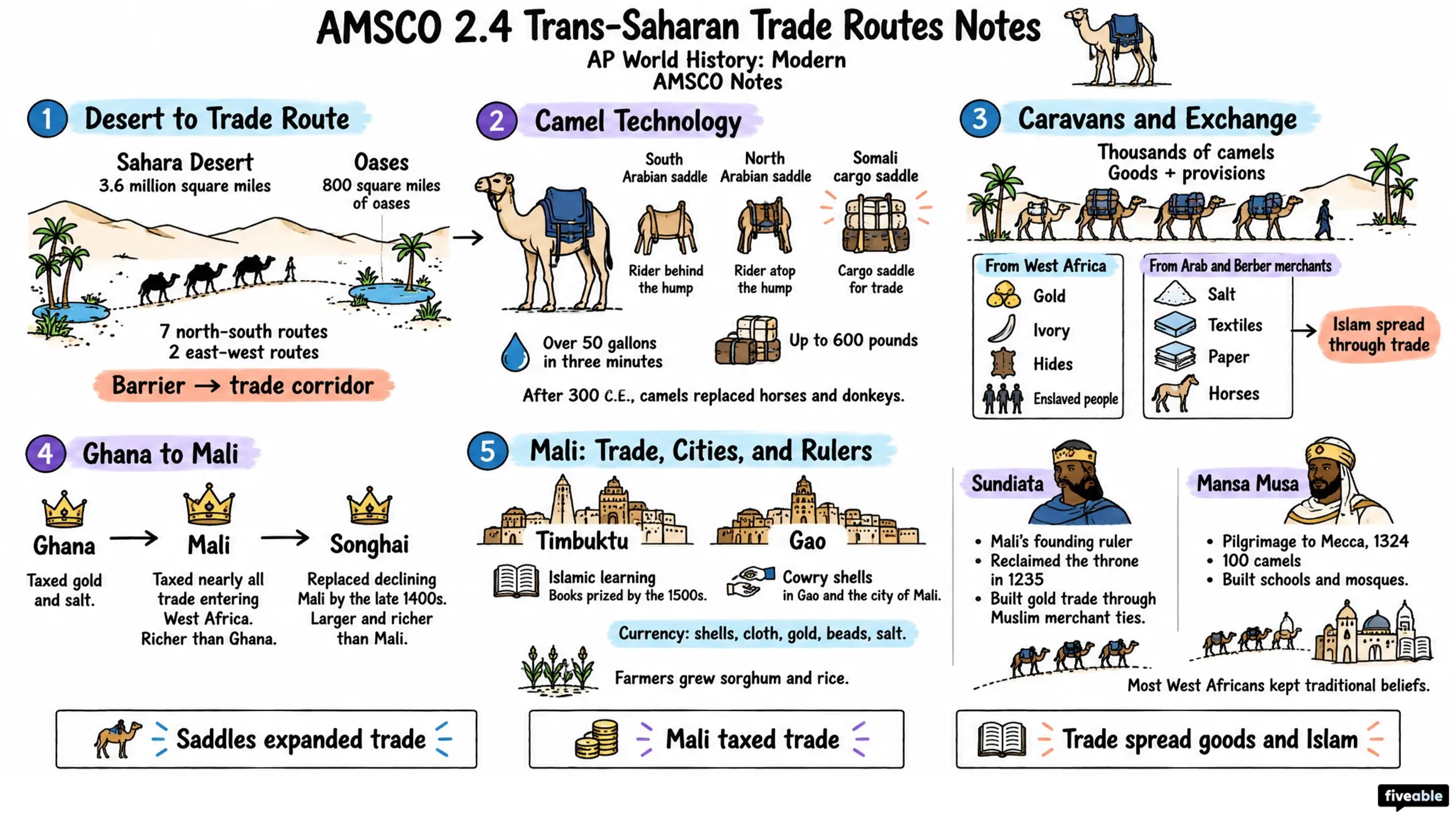 AMSCO 2.4 Trans-Saharan Trade Routes Notes - AP World History - Amsco Notes visual cheatsheet