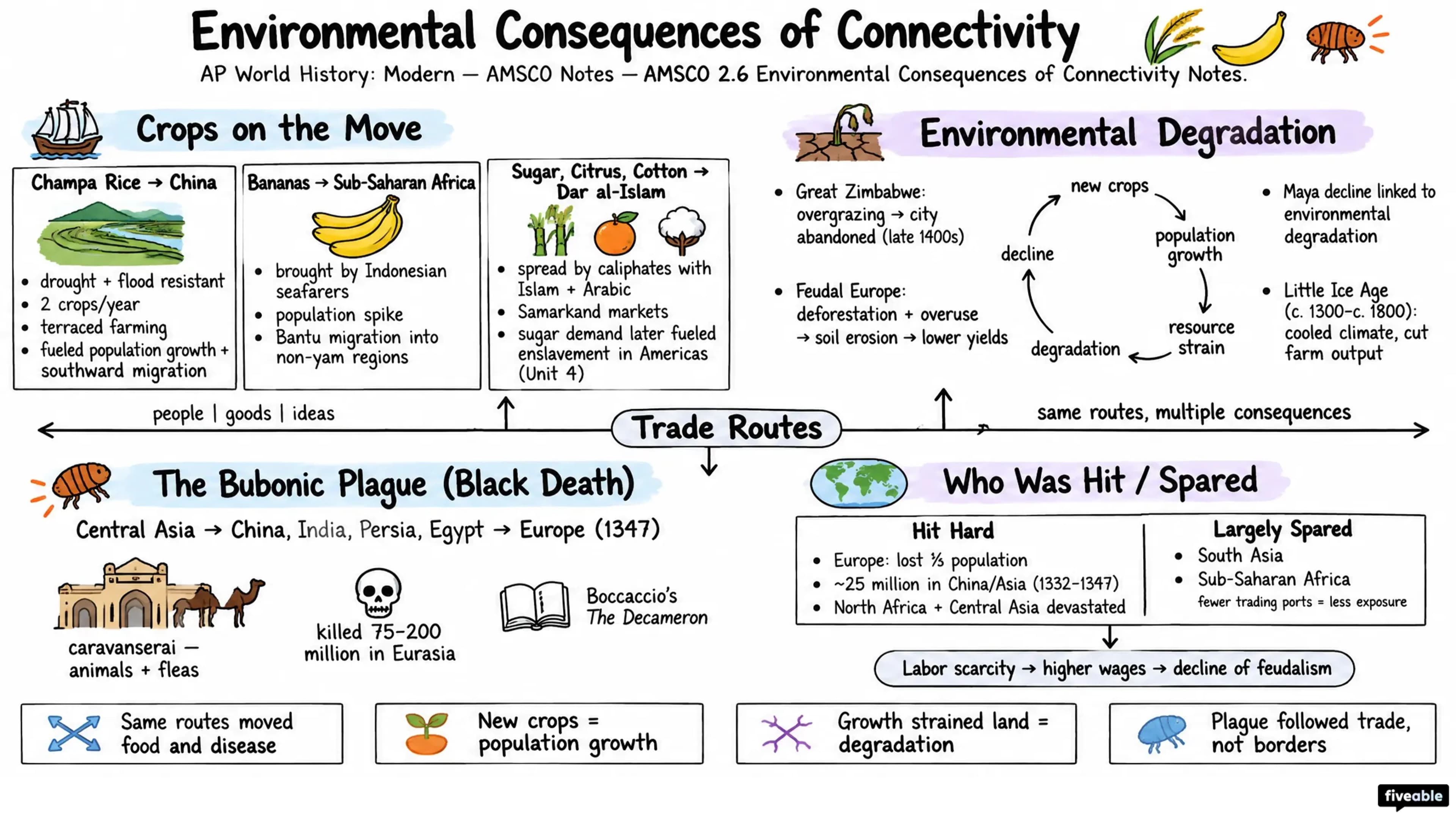 AMSCO 2.6 Environmental Consequences of Connectivity Notes - AP World History - Amsco Notes visual cheatsheet