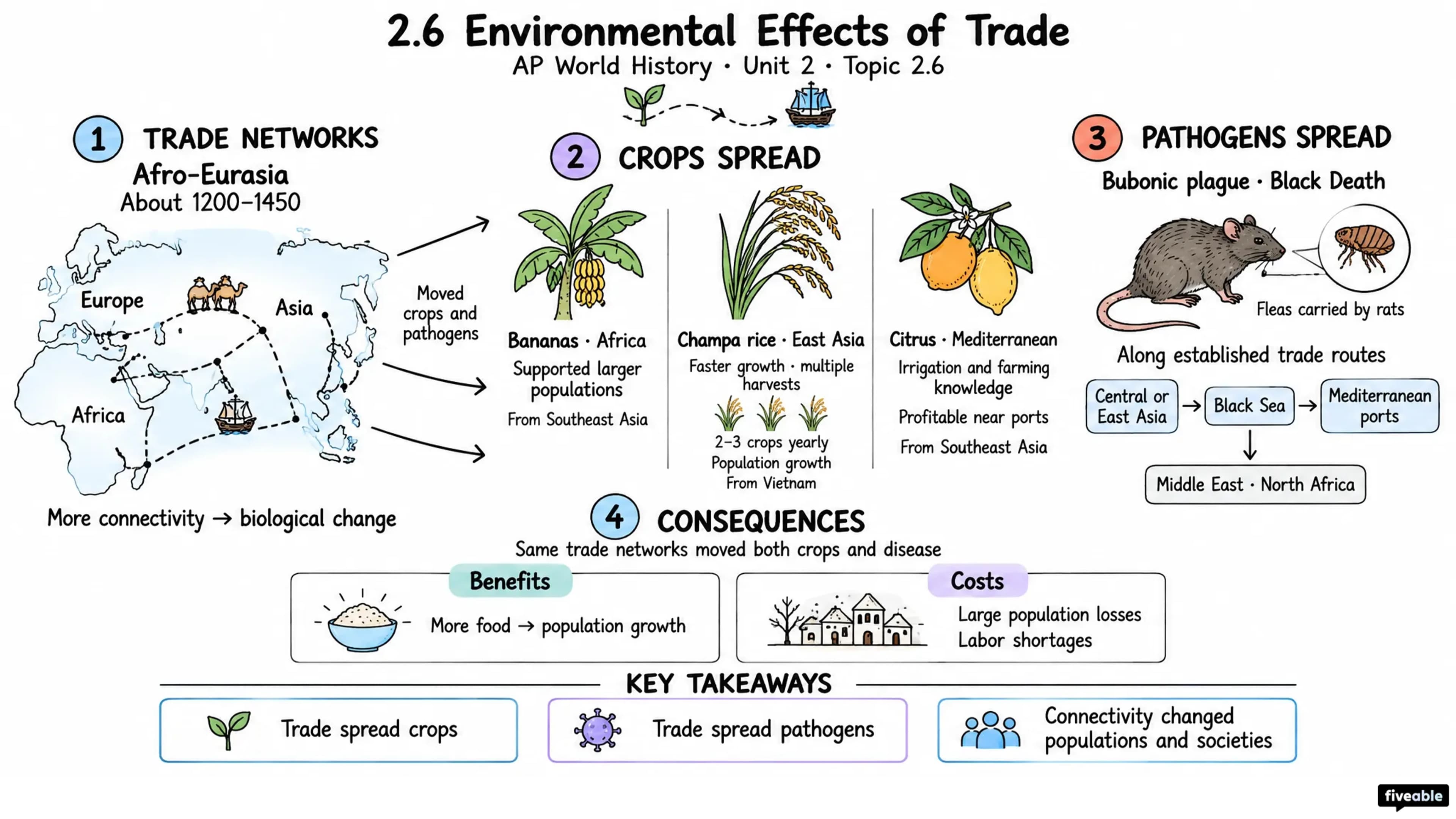 2.6 Environmental Effects of Trade - AP World History - Unit 2 visual cheatsheet
