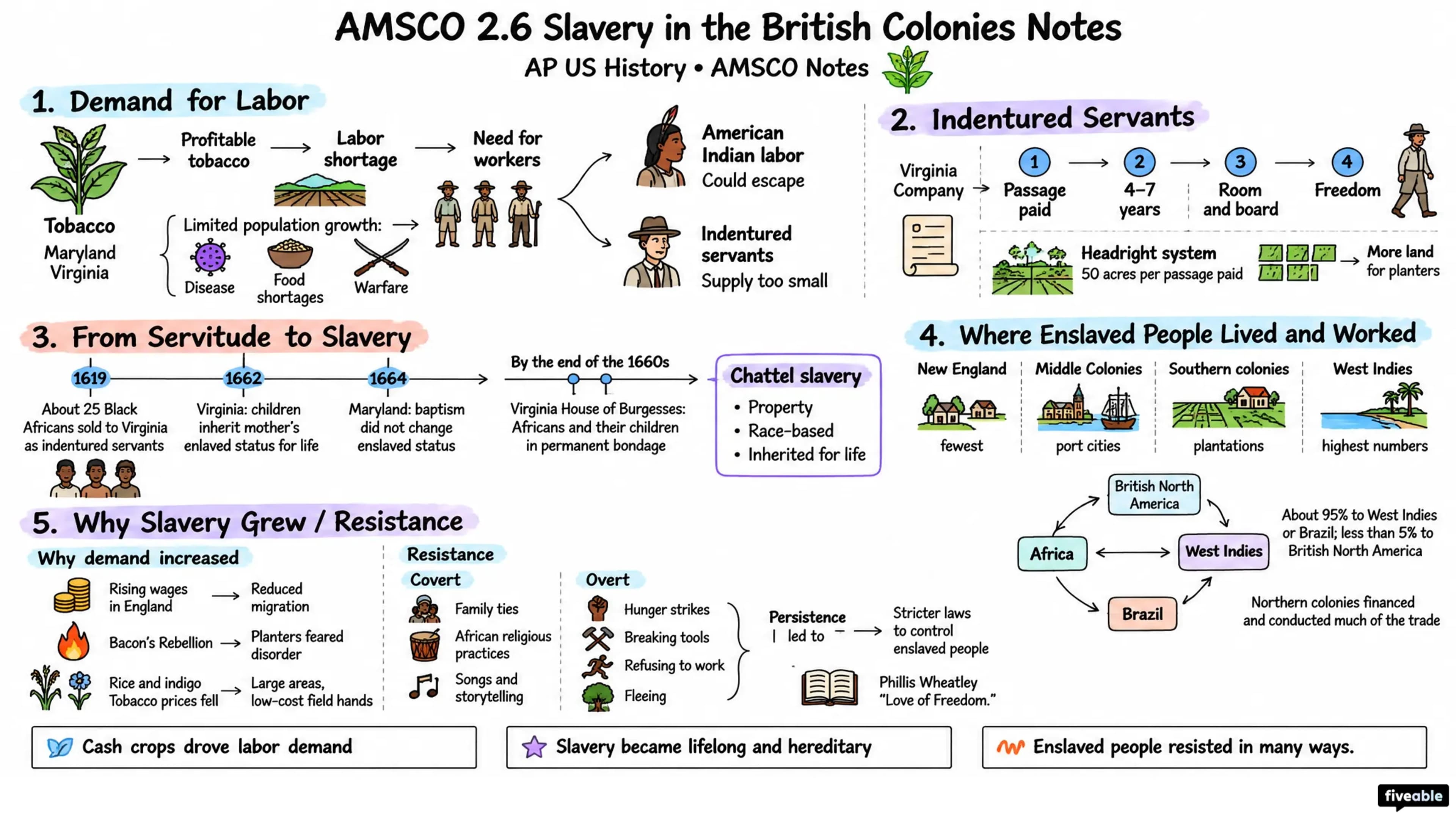 AMSCO 2.6 Slavery in the British Colonies Notes - AP US History - Amsco Notes visual cheatsheet