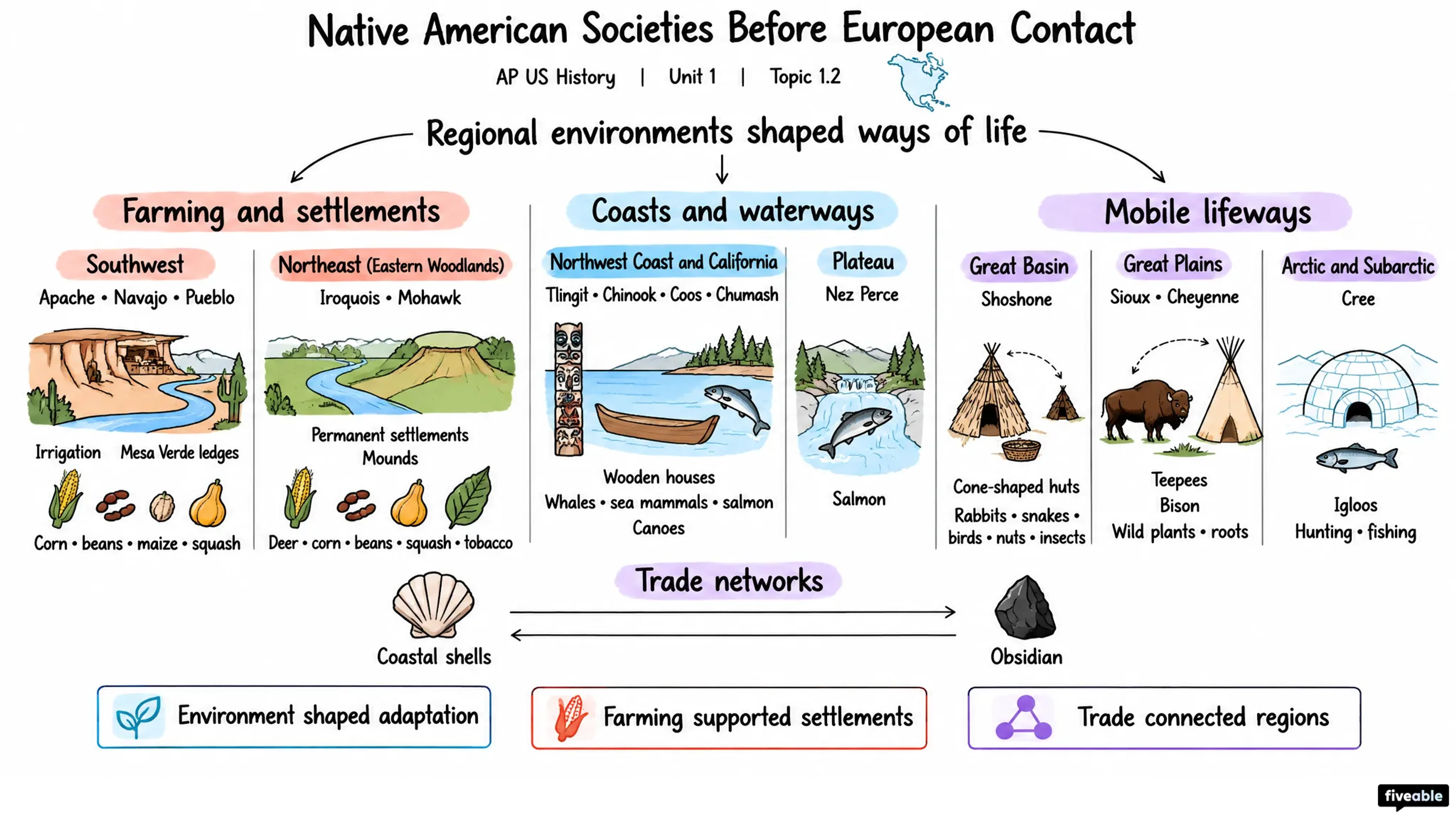 1.2 Native American Societies Before European Contact - AP US History - Unit 1 visual cheatsheet