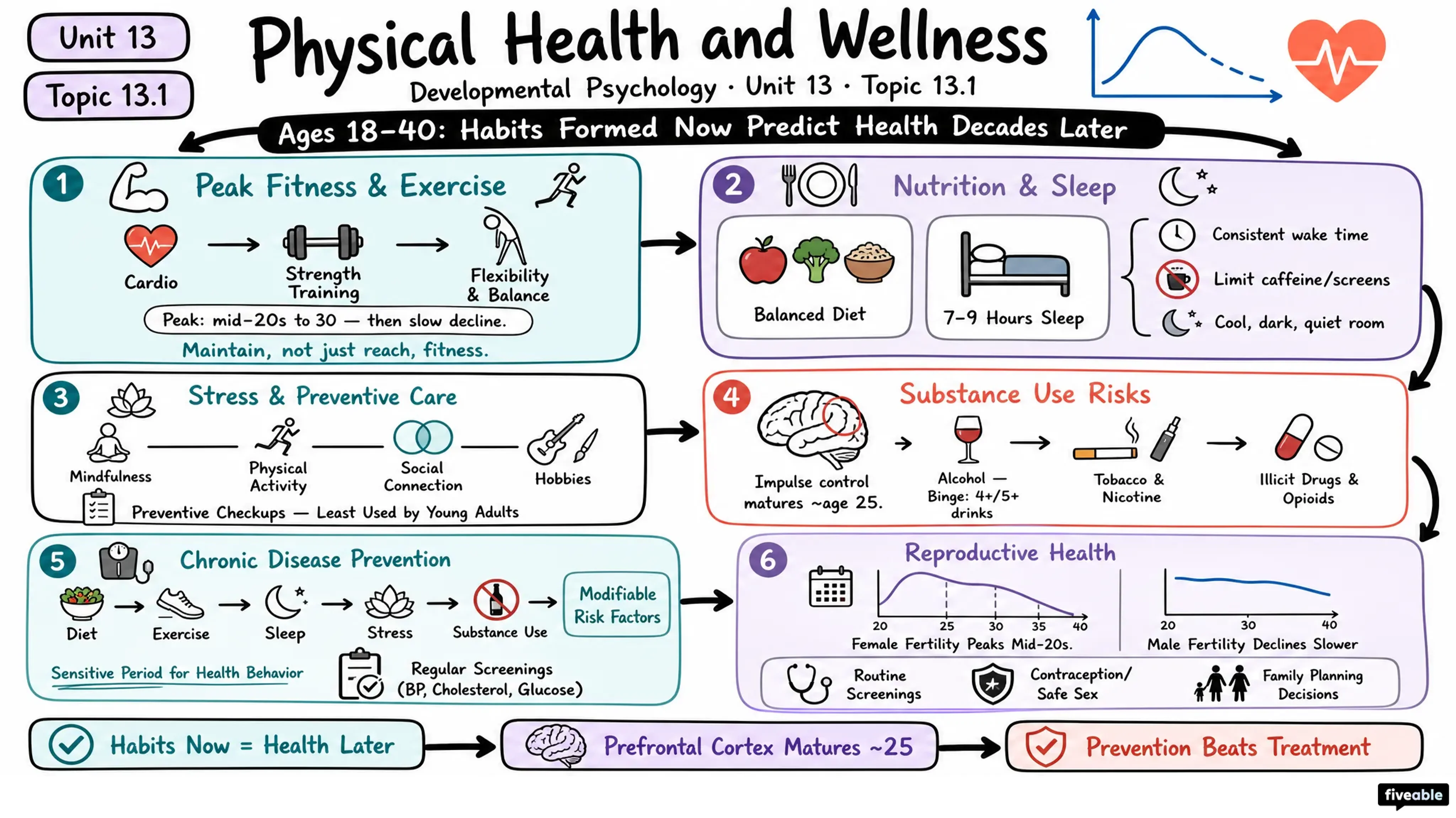 13.1 Physical Health and Wellness - Developmental Psychology - Unit 13 visual cheatsheet