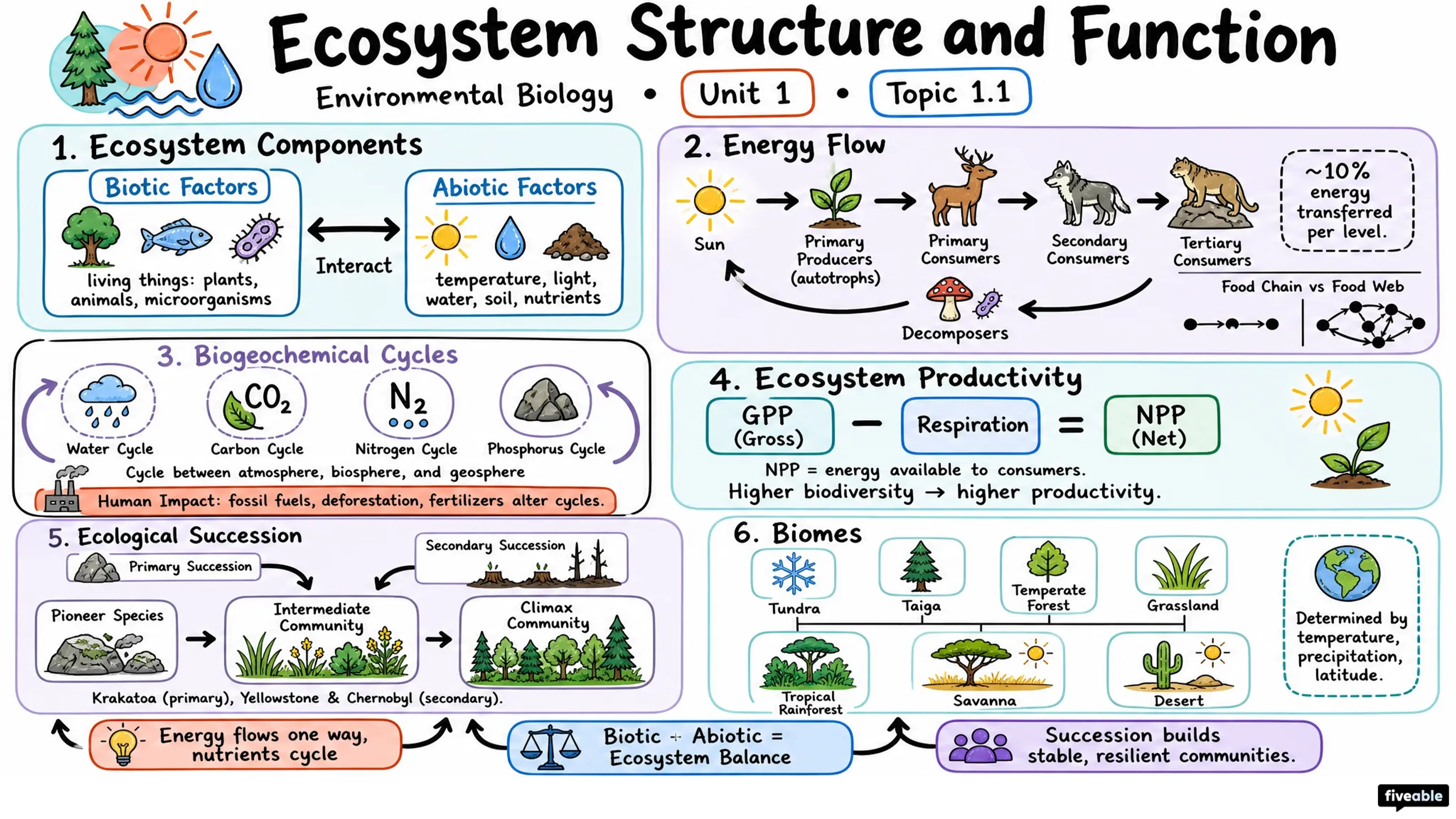 1.1 Ecosystem structure and function - Environmental Biology - Unit 1 visual cheatsheet