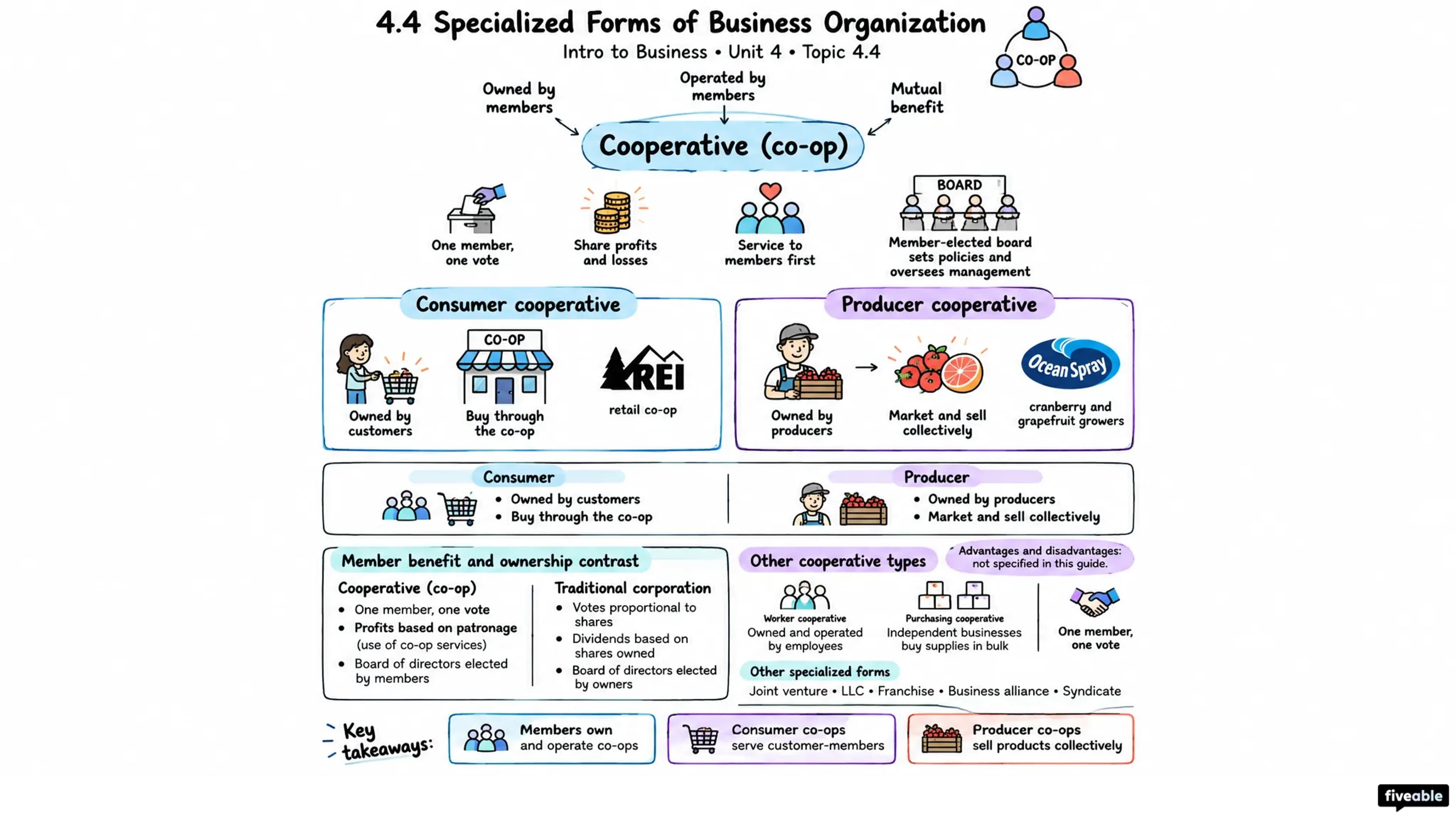 4.4 Specialized Forms of Business Organization - Intro to Business - Unit 4 visual cheatsheet